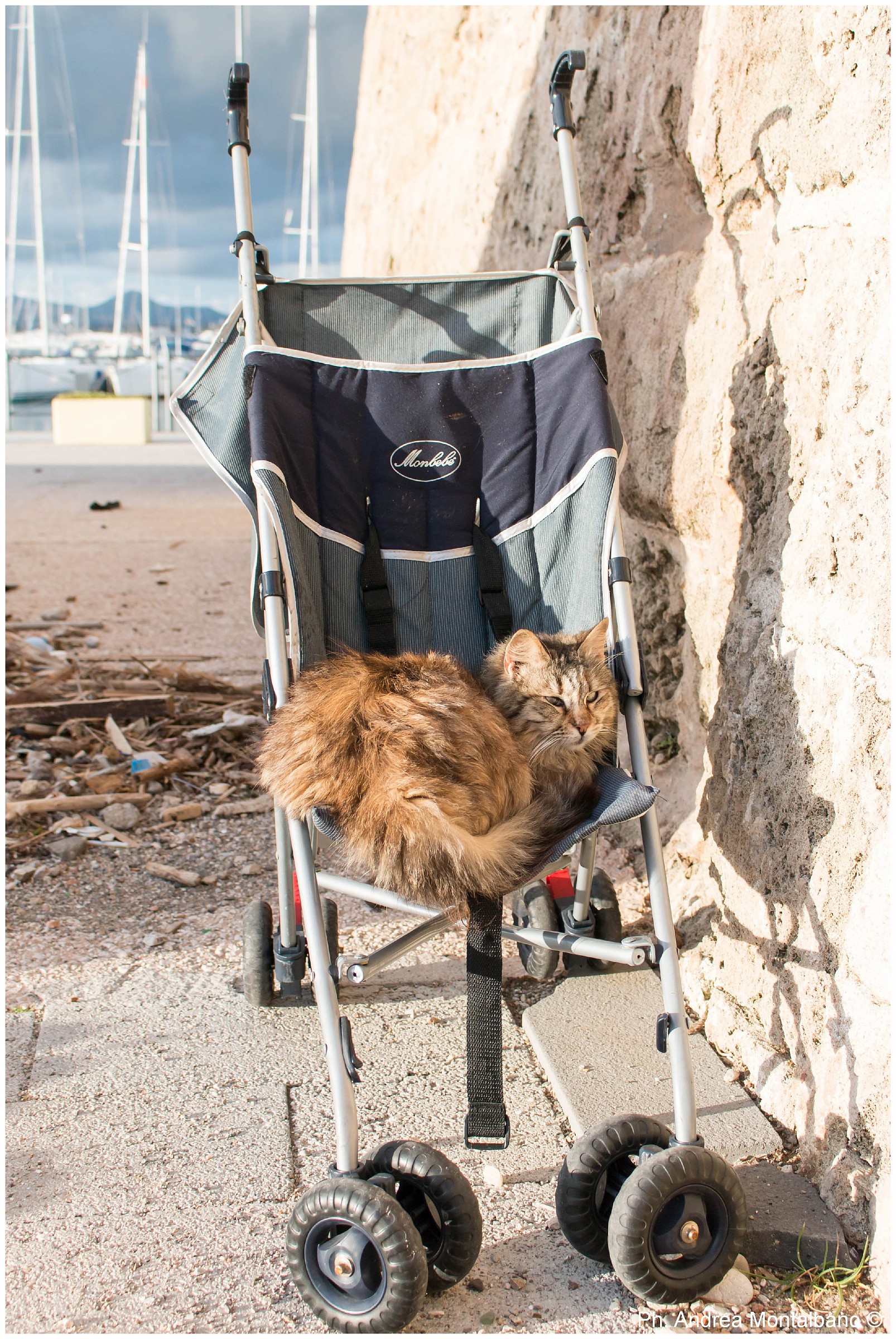 sono pronto per la passeggiata