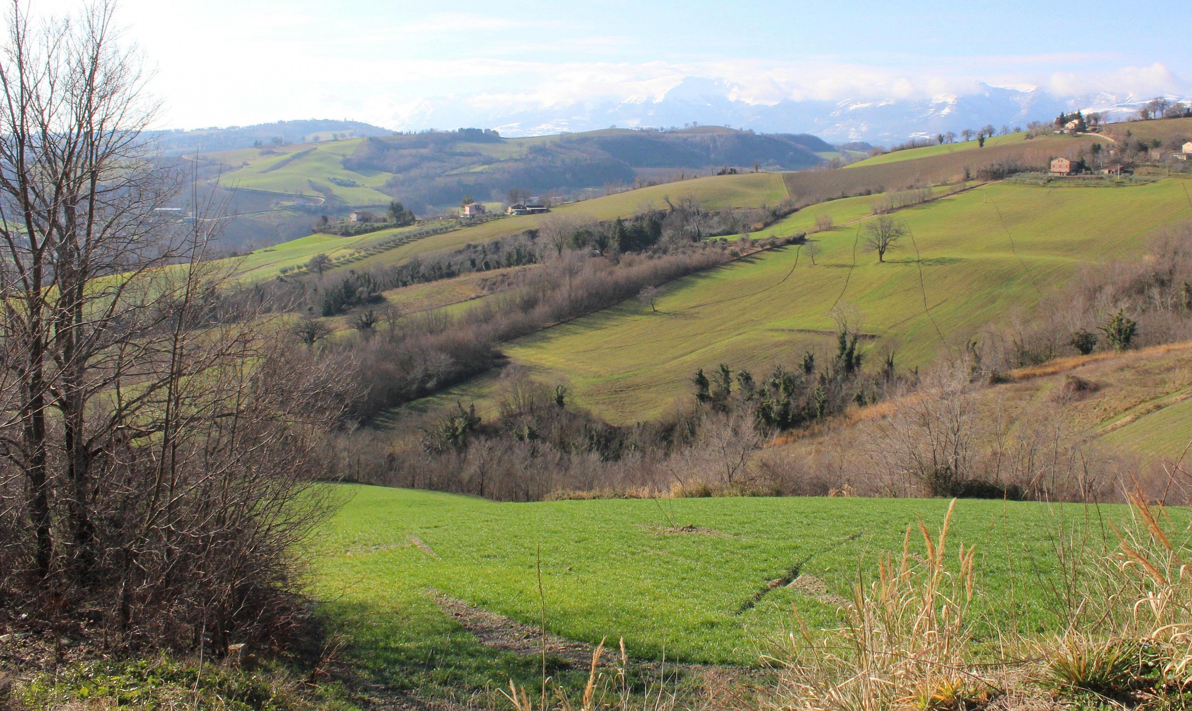 Hills of Macerata