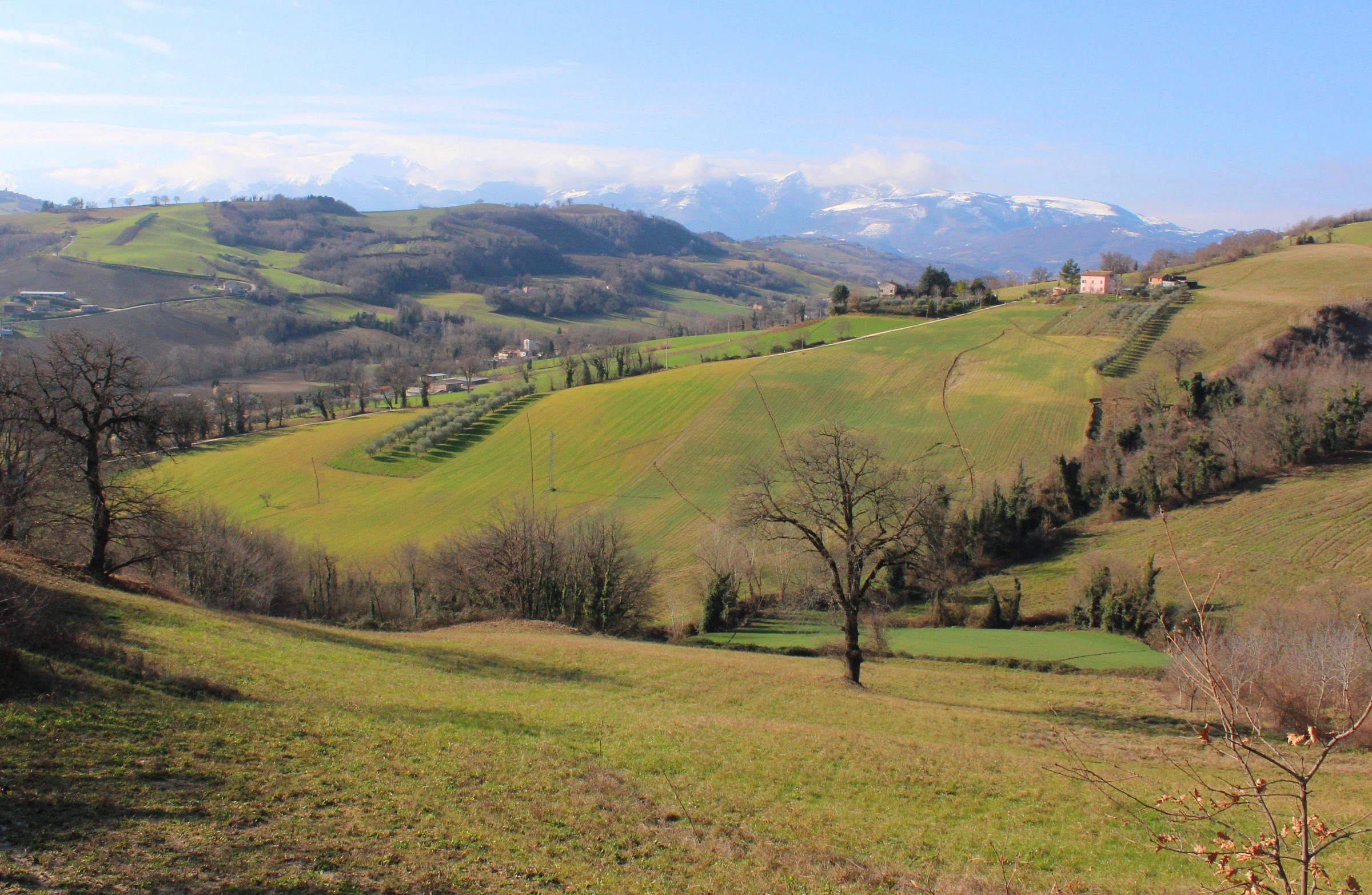Campagna maceratese.