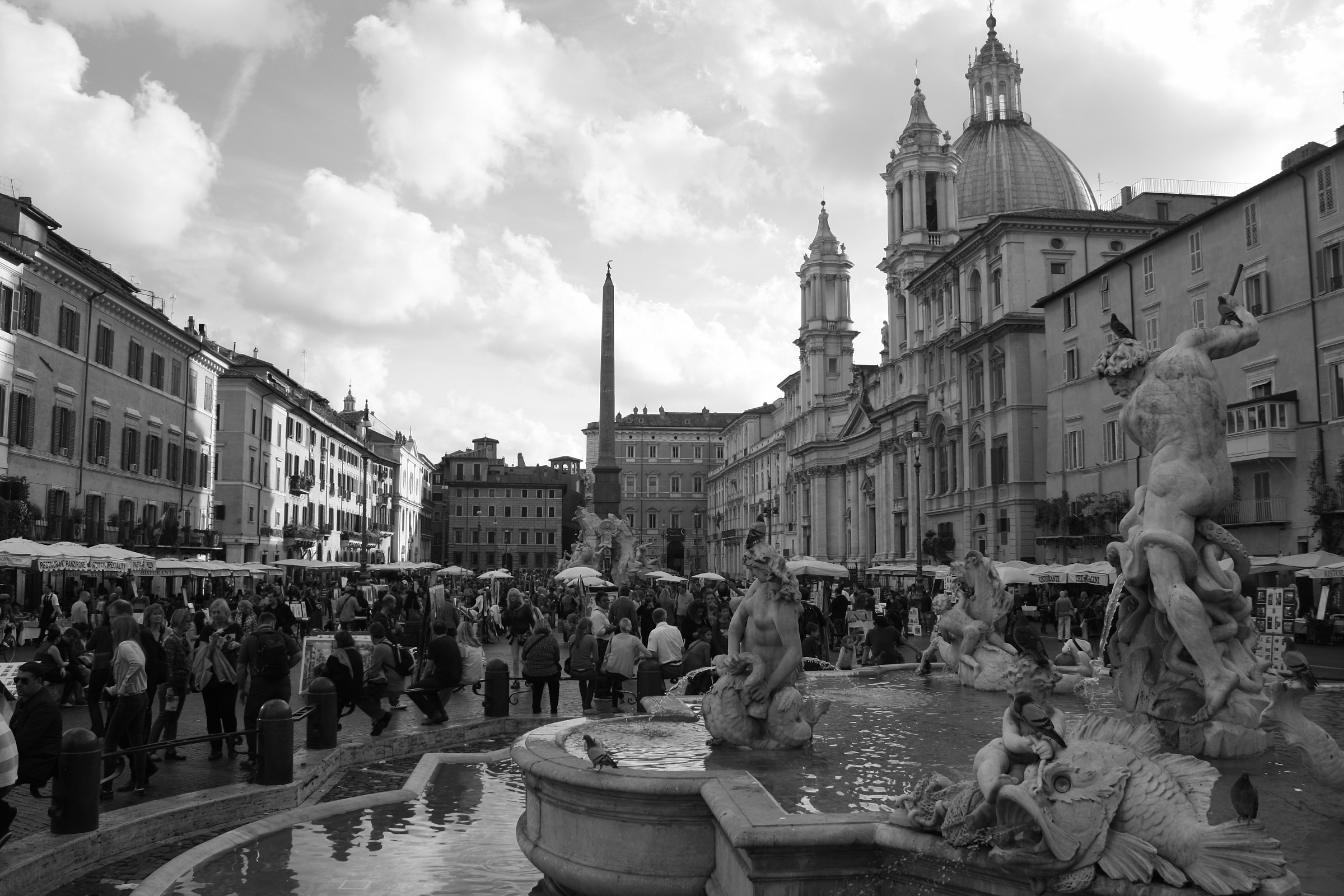 Navona Black&White
