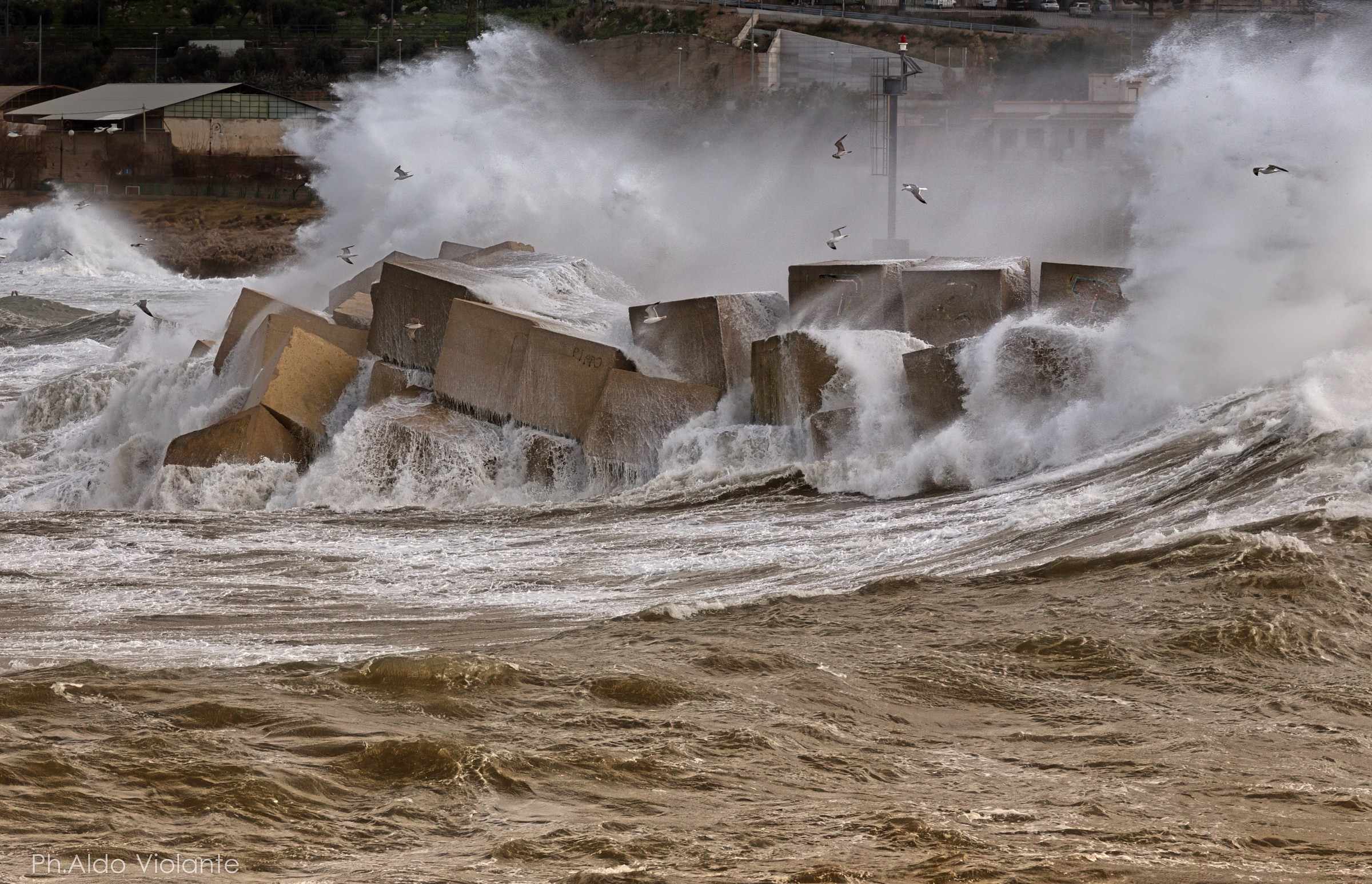 Marina sferracavallo