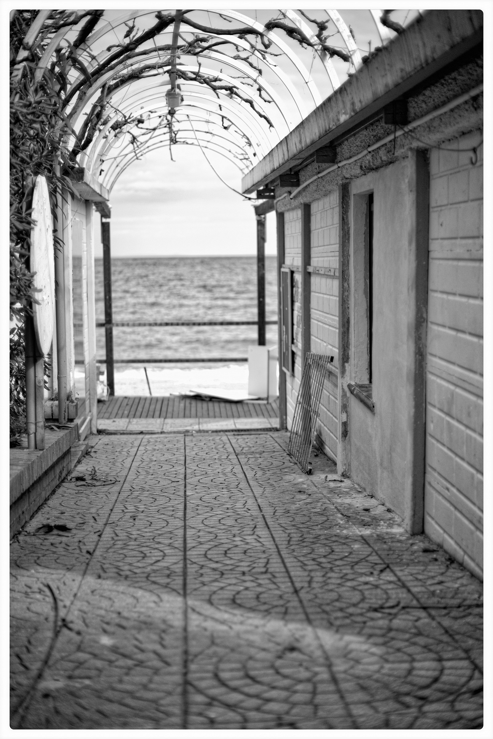 Sent of Summer.. I'm waiting.. I smell it!