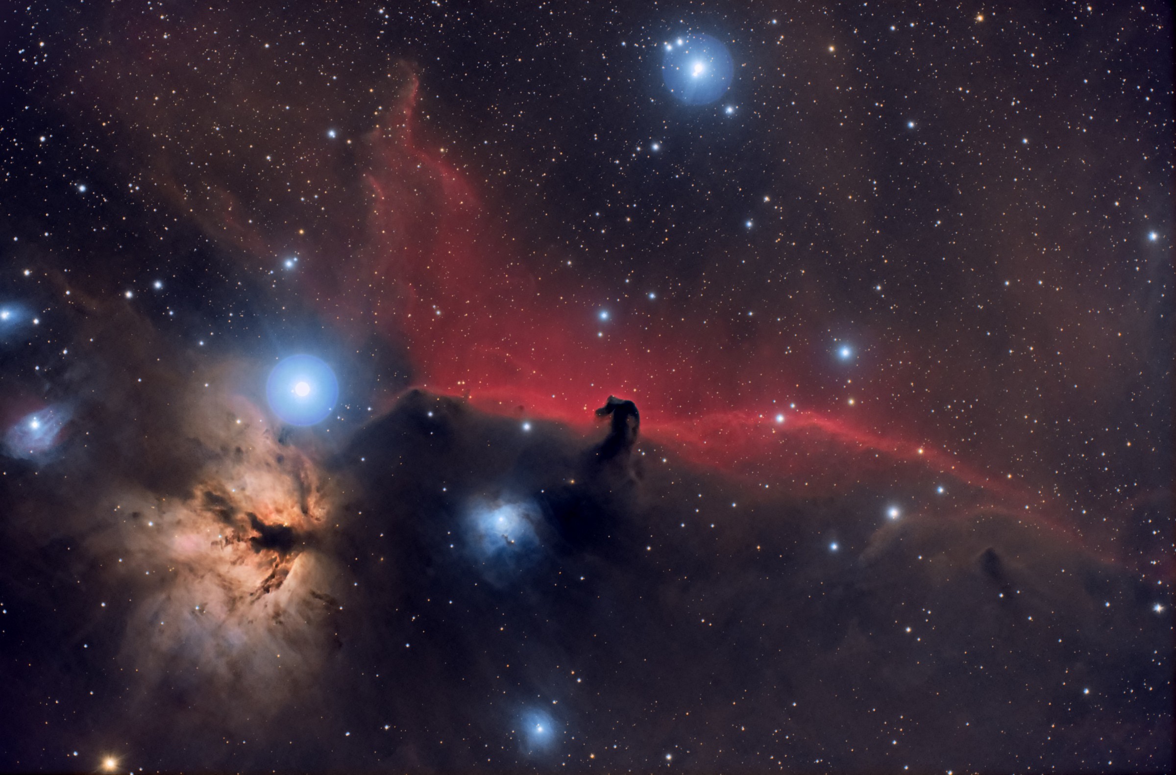 The horse head nebula