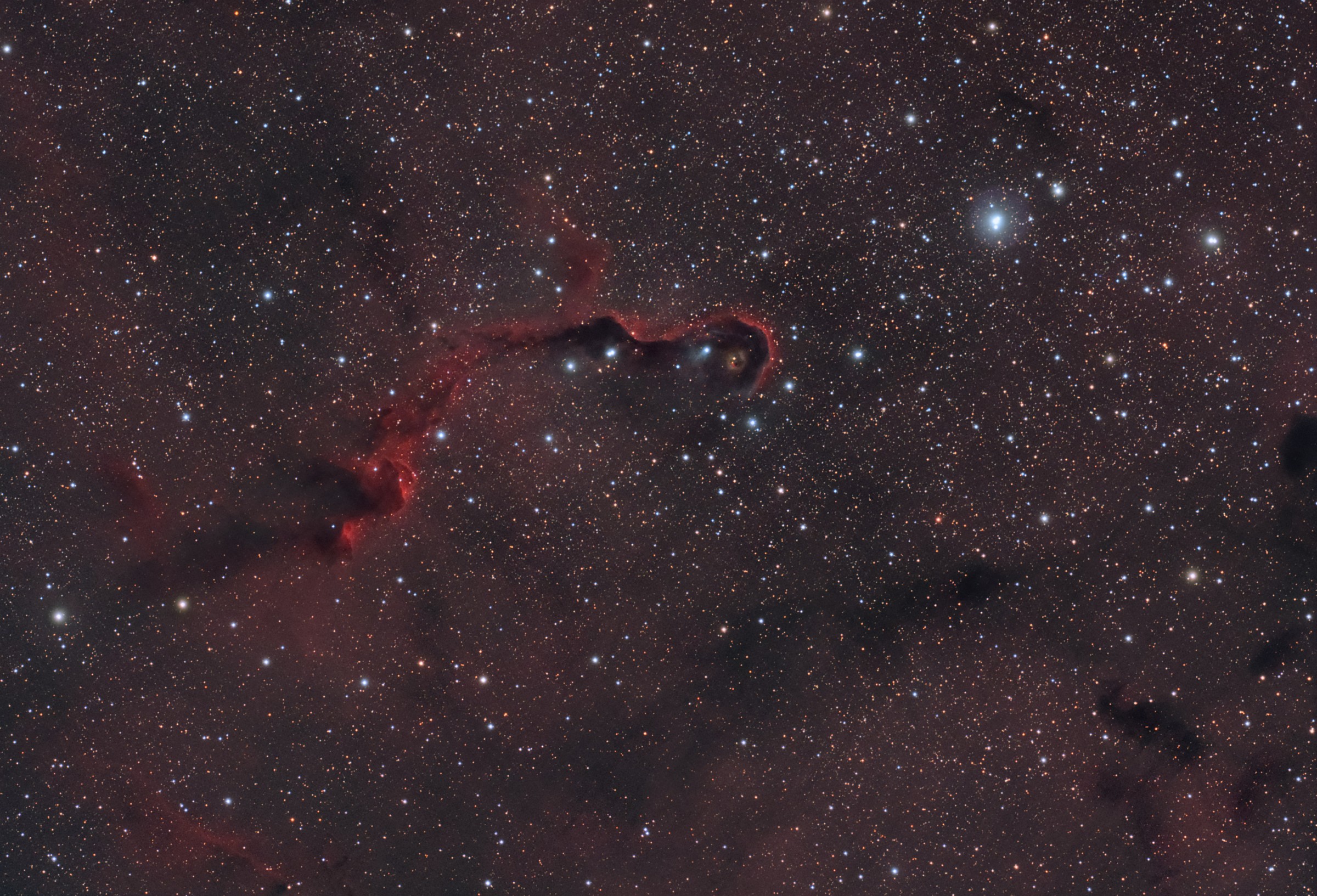 Elephant Trunk nebula