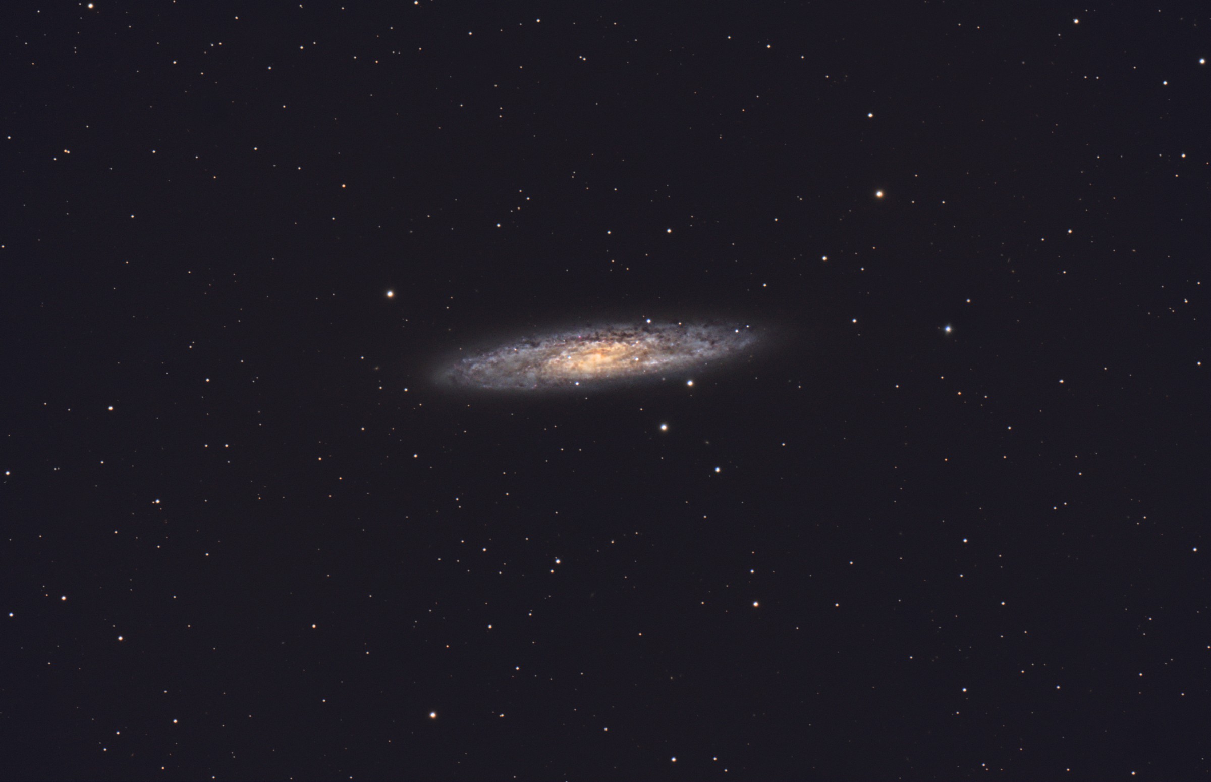Galassia Dello scultore NGC 253