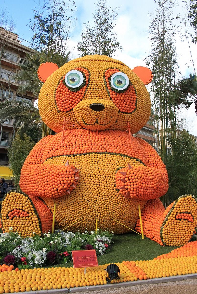 Orange Bear