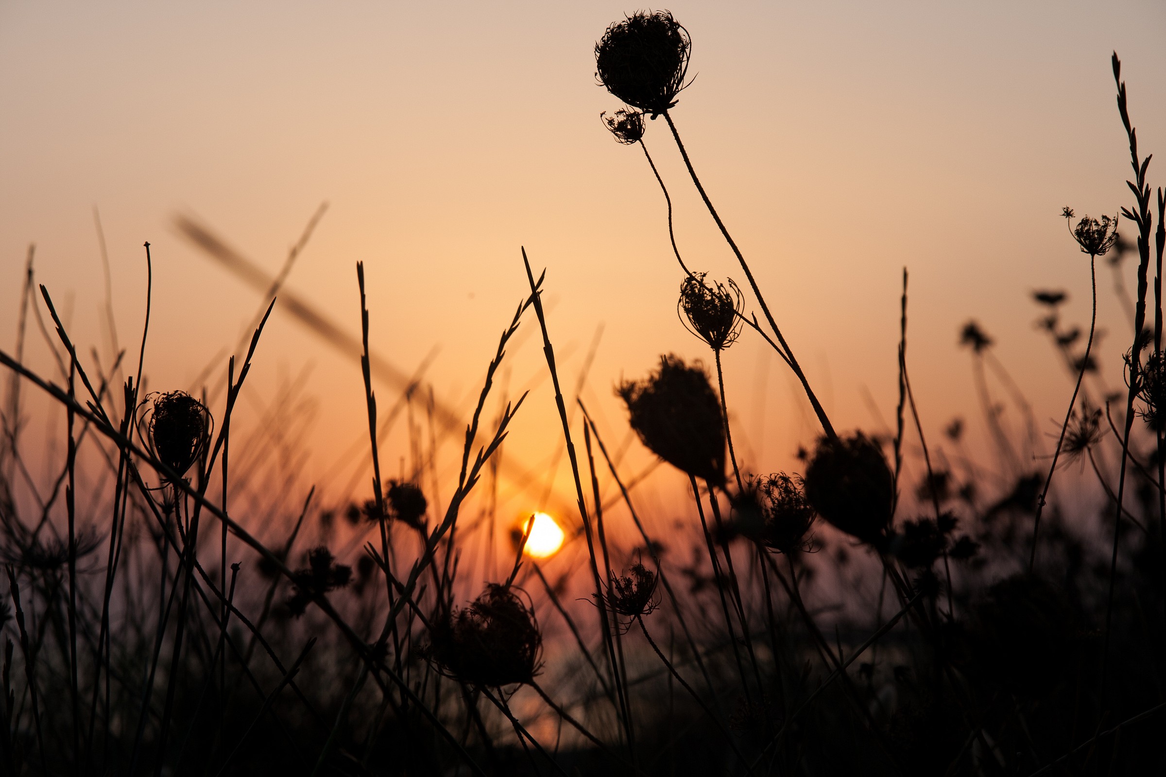 Tramonto sul Gargano