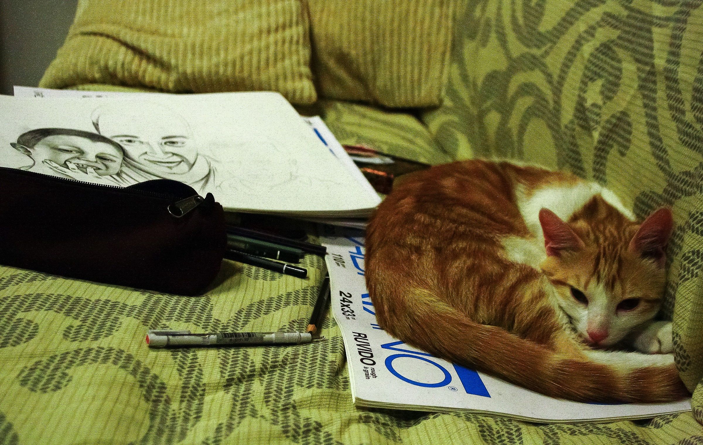 So tired ... I drew all day.