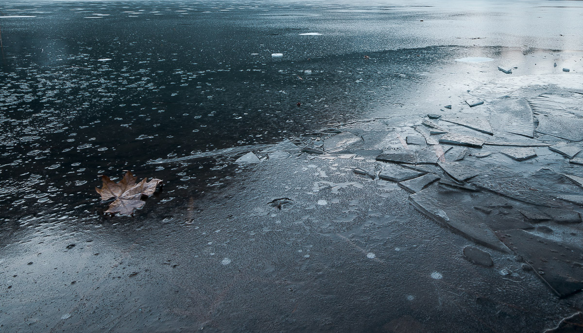 Patiently waiting for life