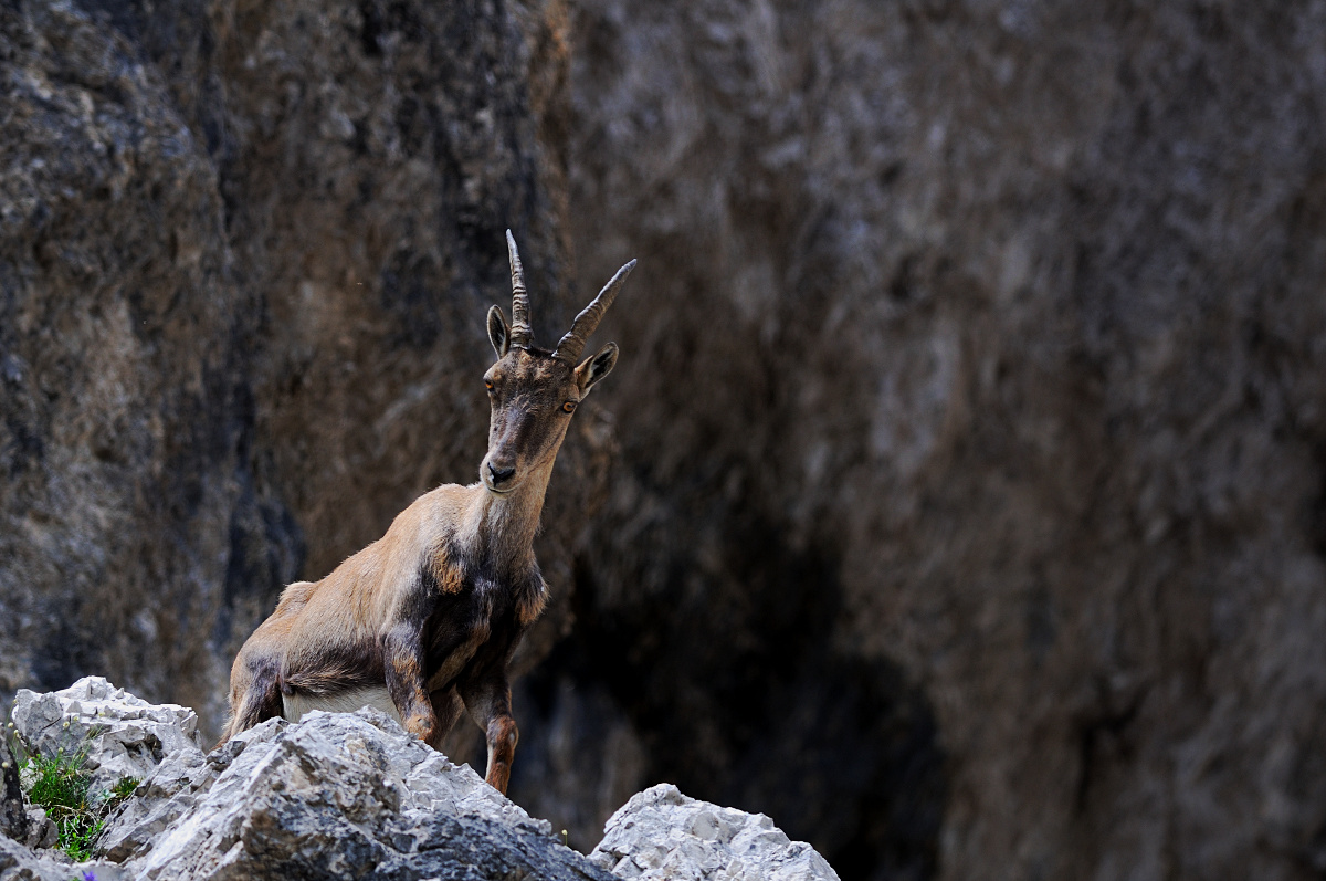 I look at you from above