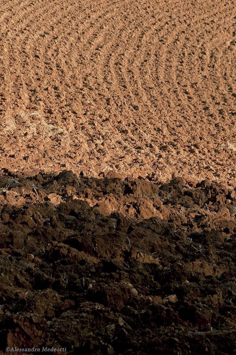 Laboratorio Montello #1