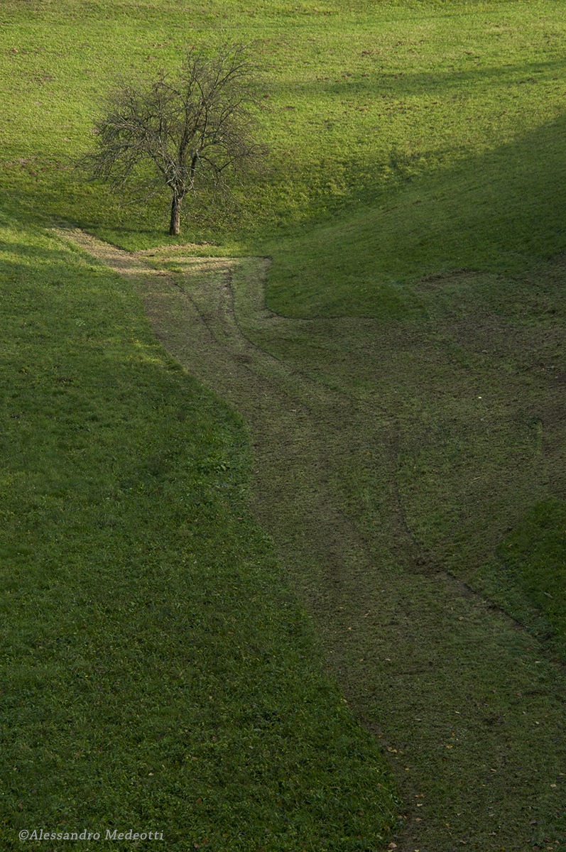 Laboratorio Montello #3