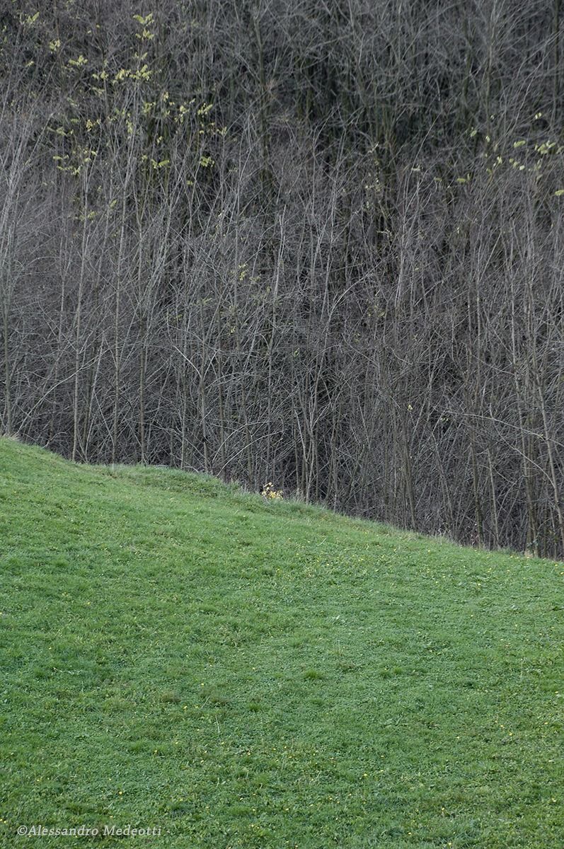 Laboratorio Montello #6