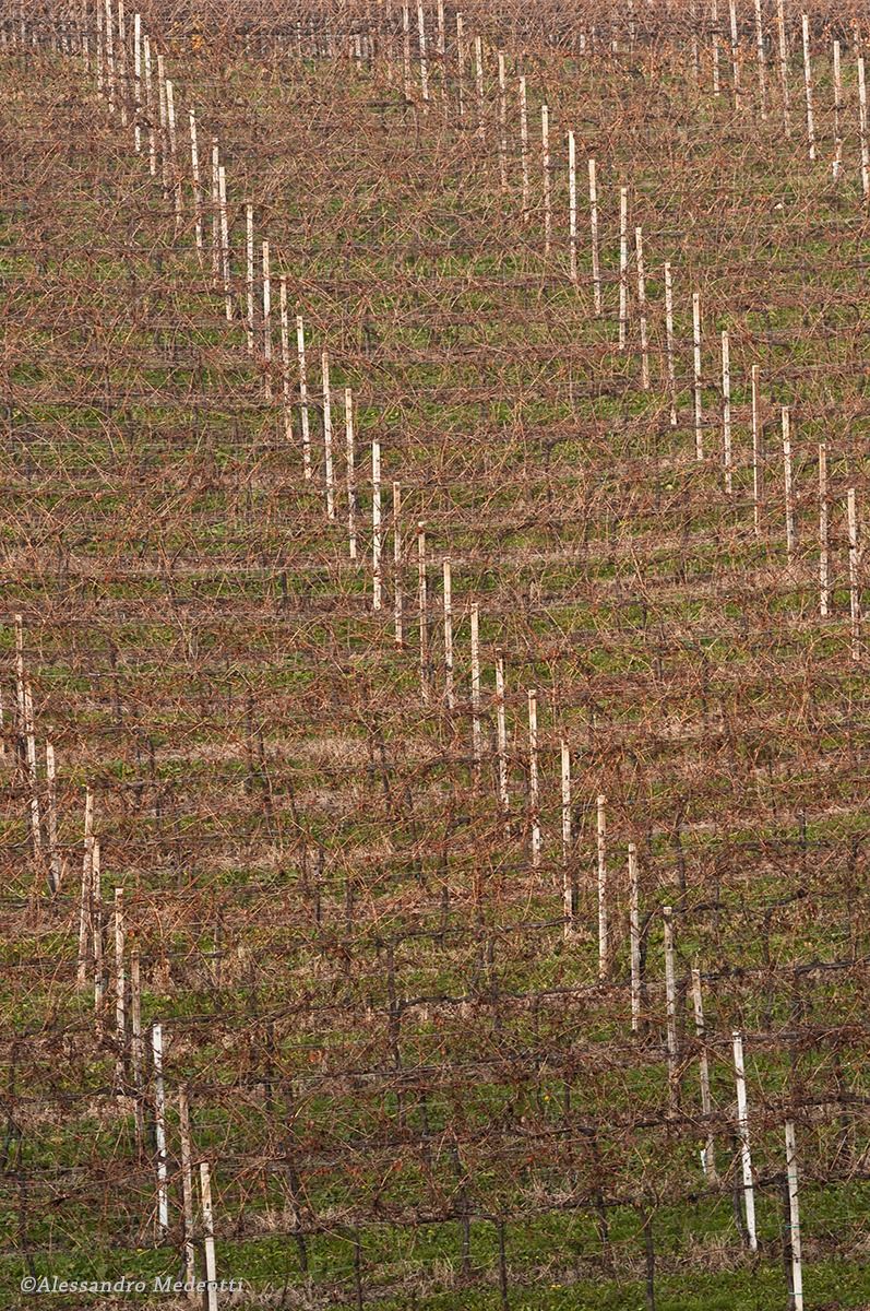 Laboratorio Montello #7