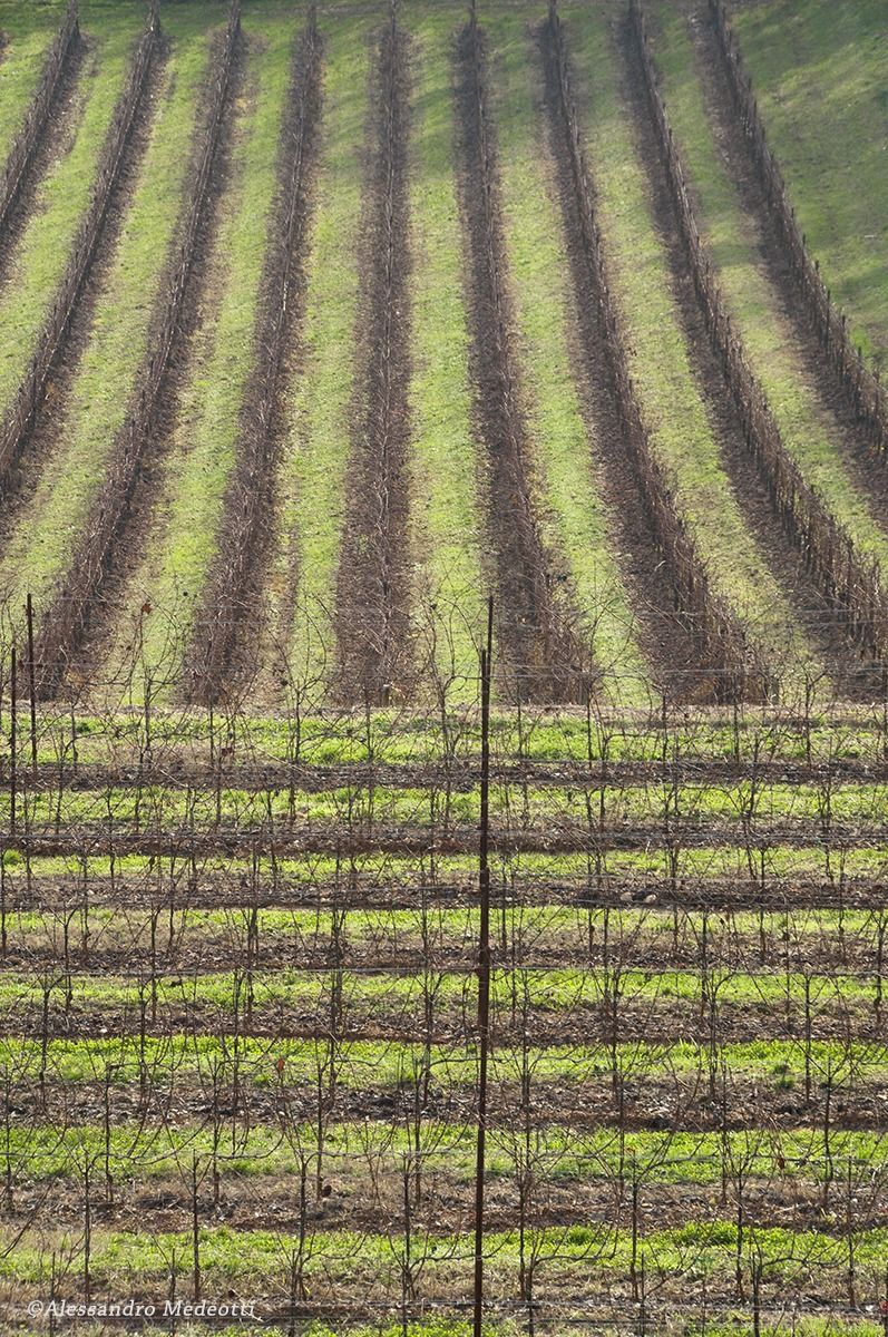 Laboratorio Montello #8