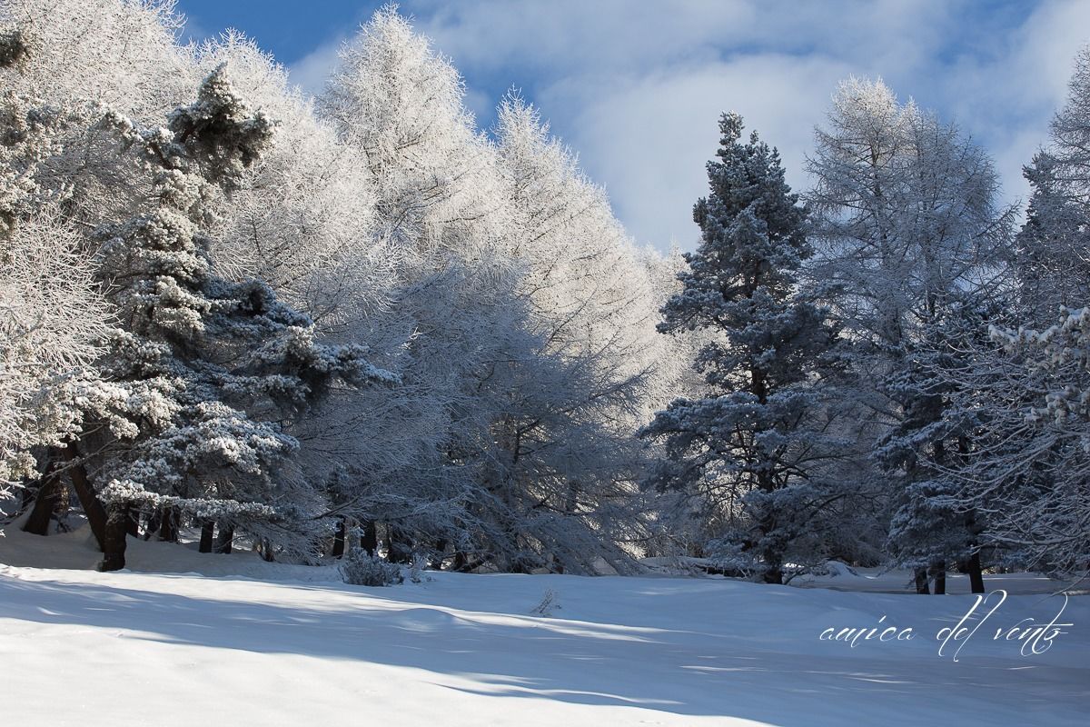 between the white and blue