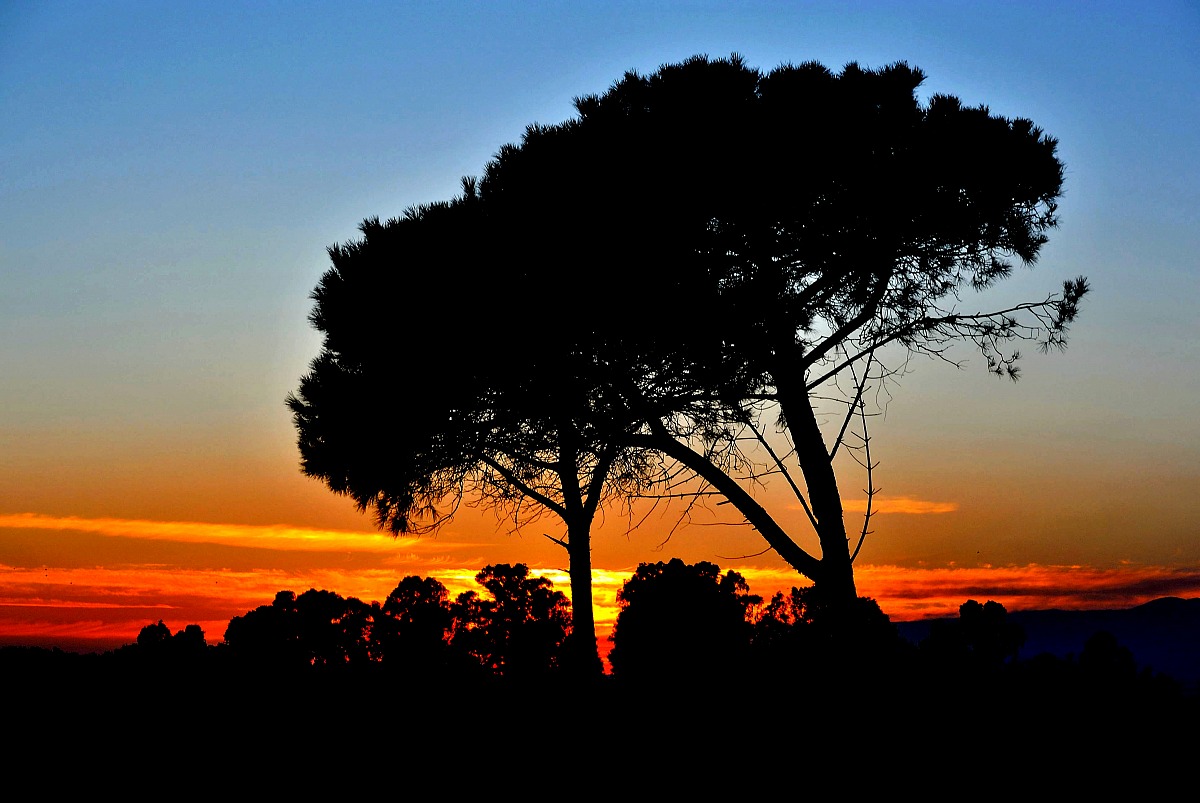 Un altro giorno è finito.