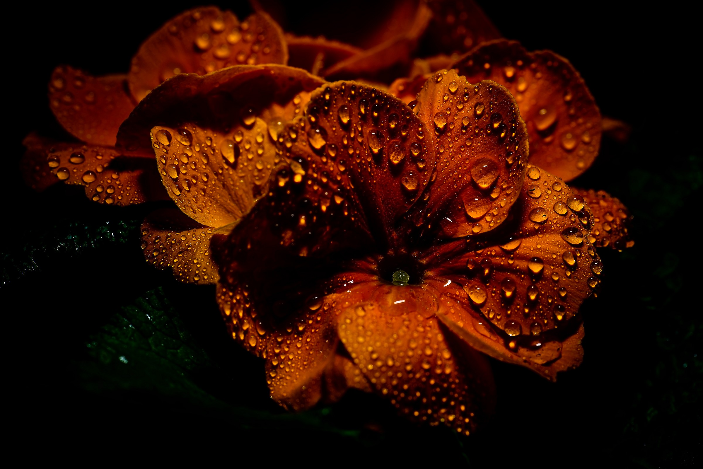 Primi segnali di Primavera