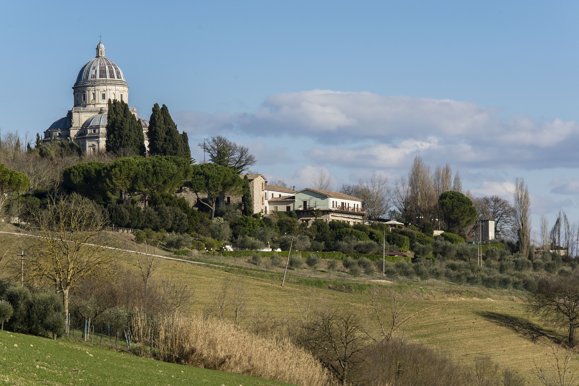 Immersed in the green