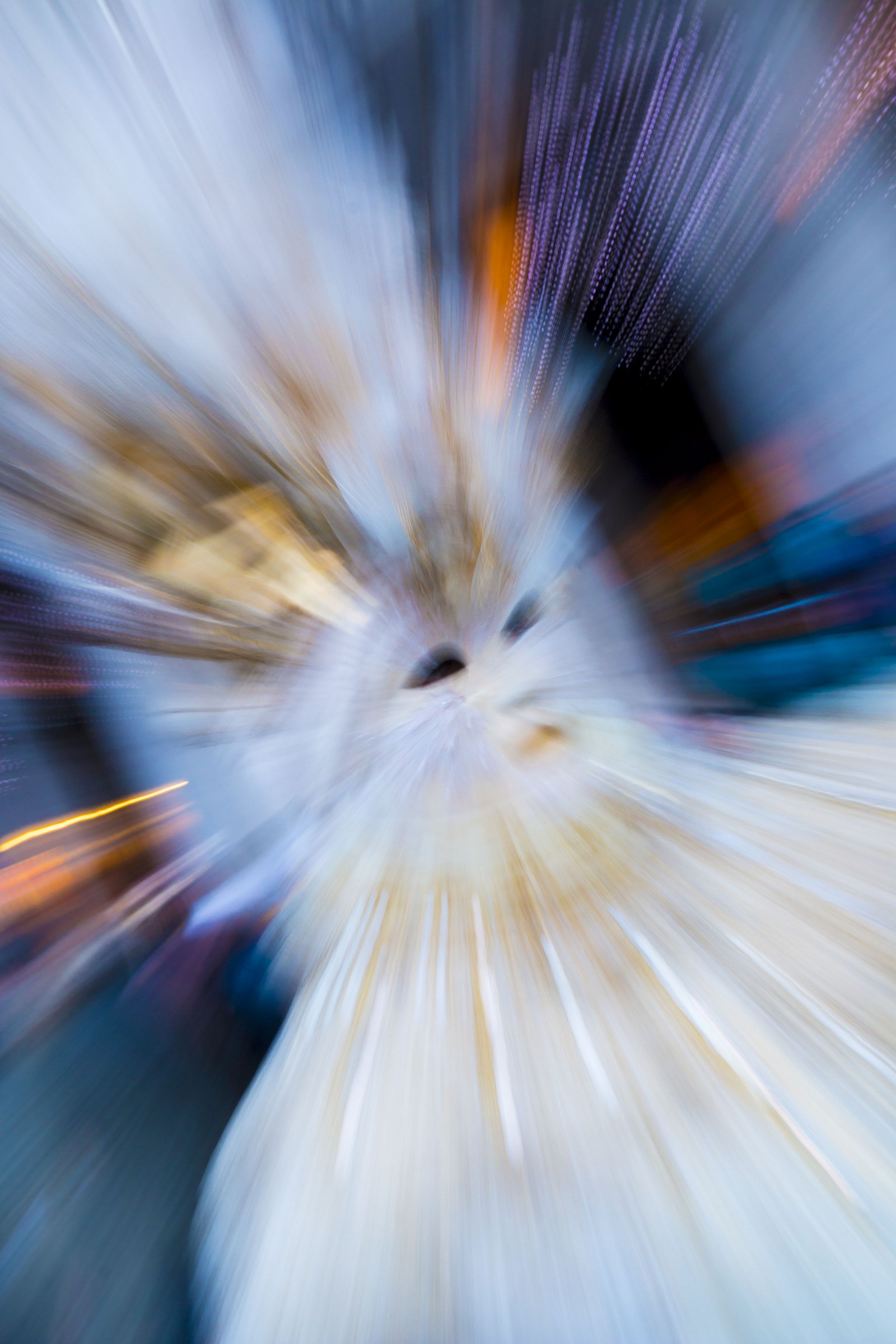 Colori del Carnevale 2