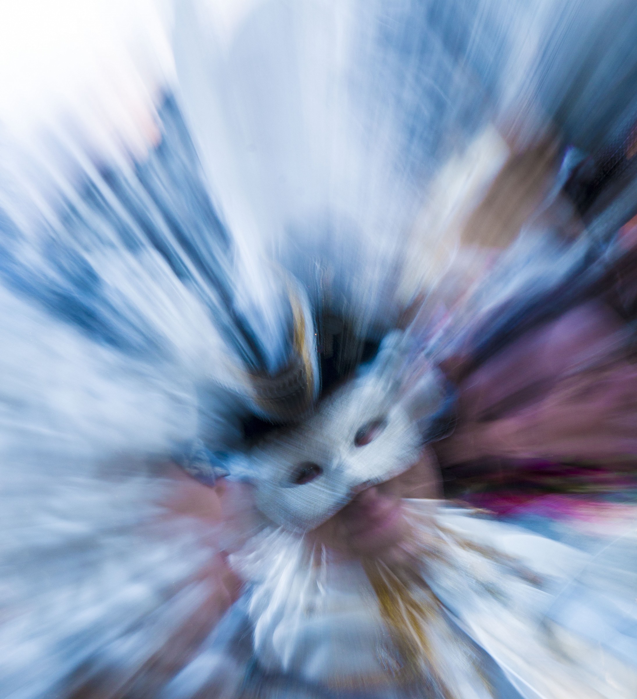 Colori del Carnevale 3