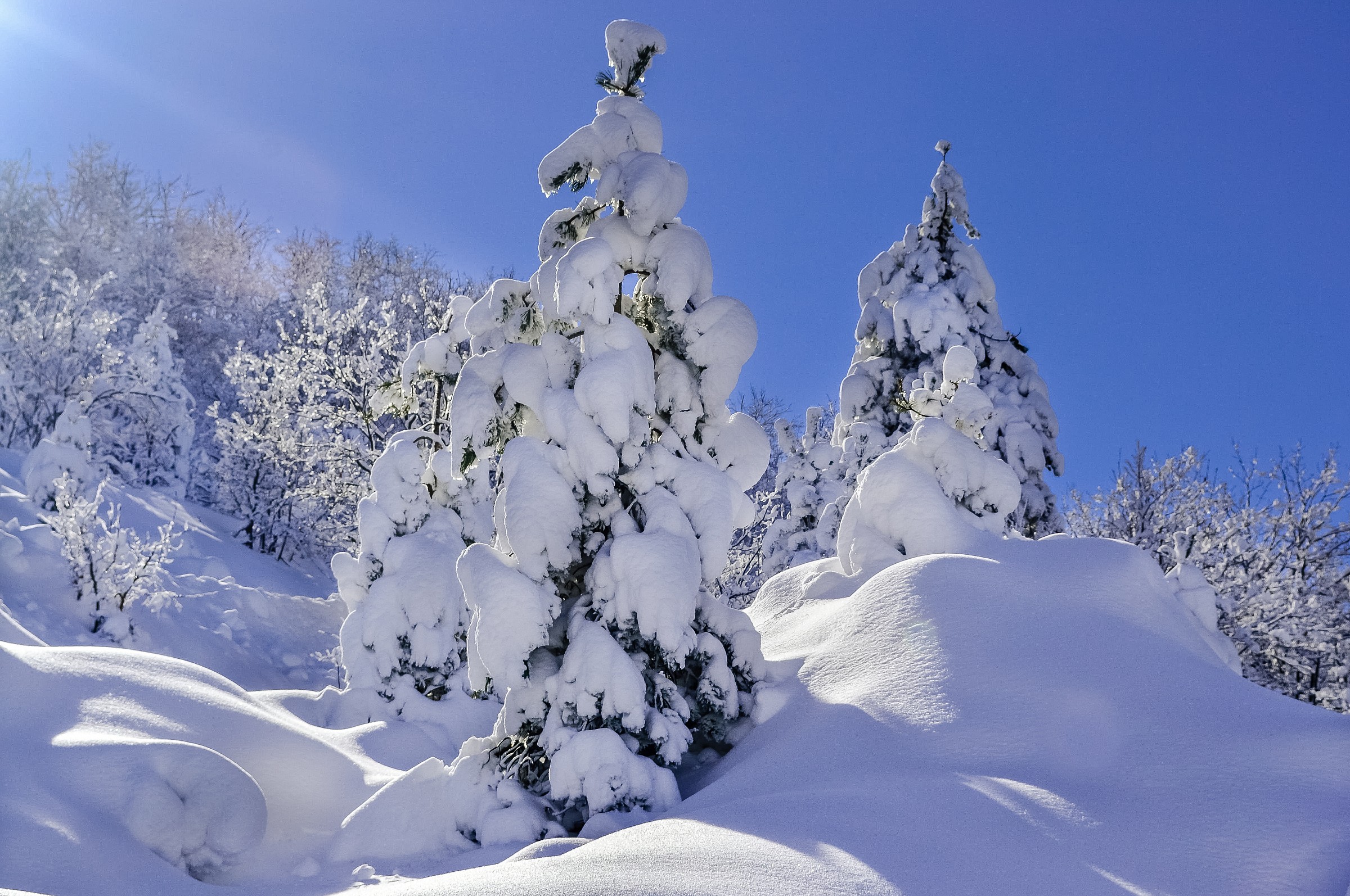 Qualche fiocco in Appennino...