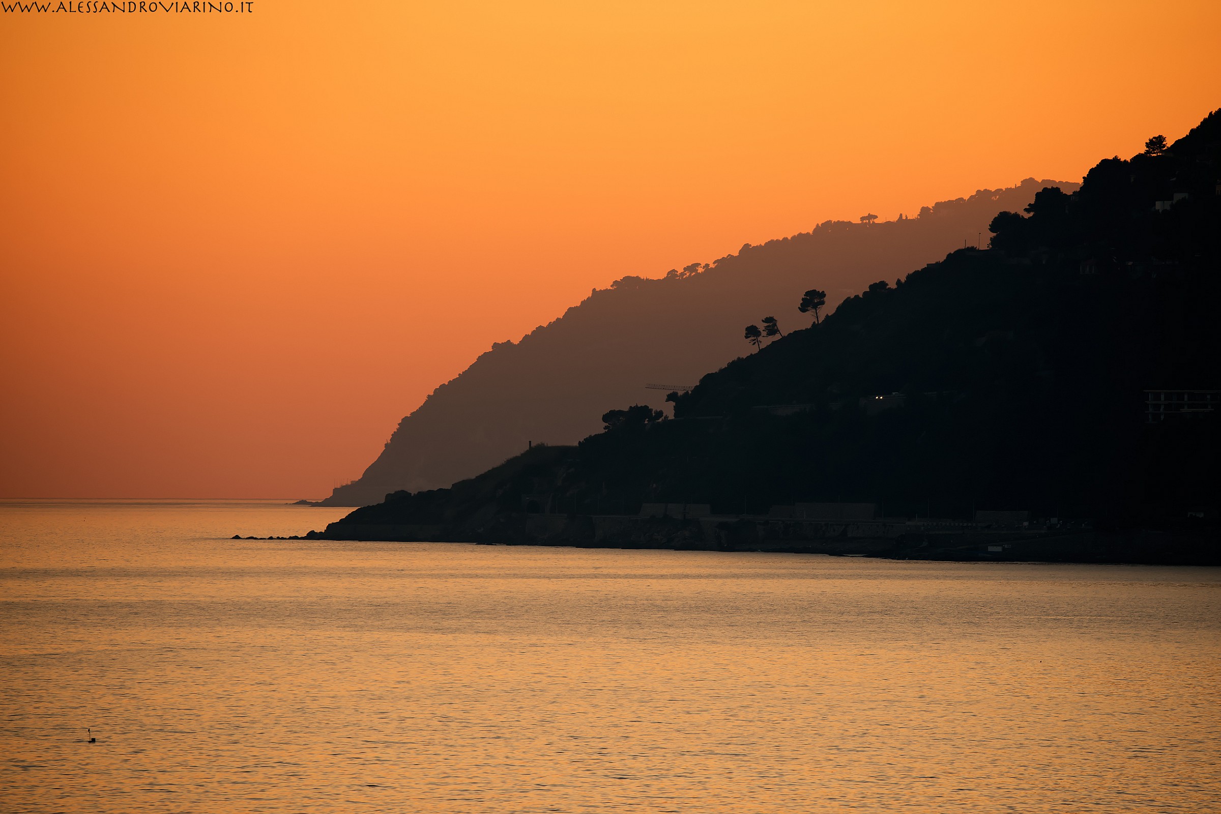 capo mimosa e capo cervo da capo mele