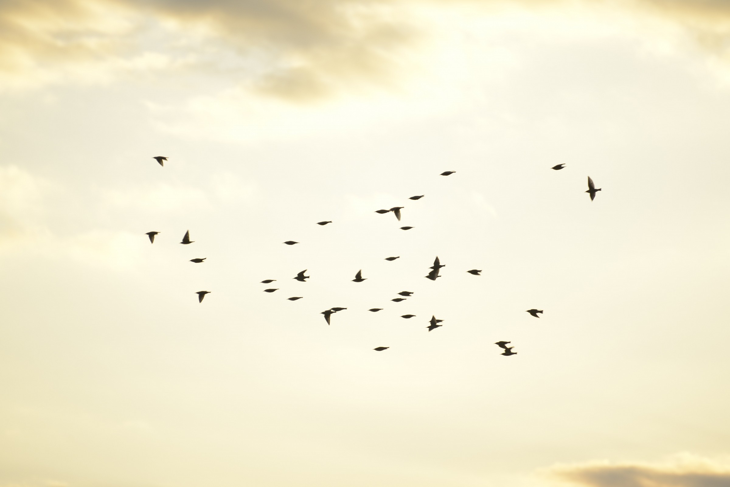 sky of Rome with appurtenances