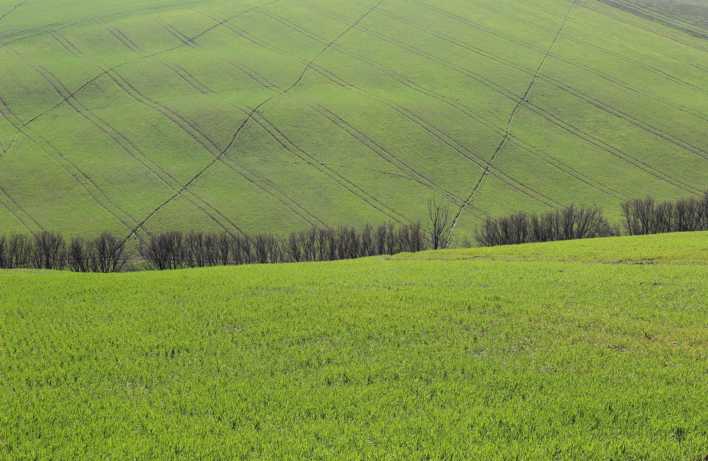 Geometries in the hills of Macerata