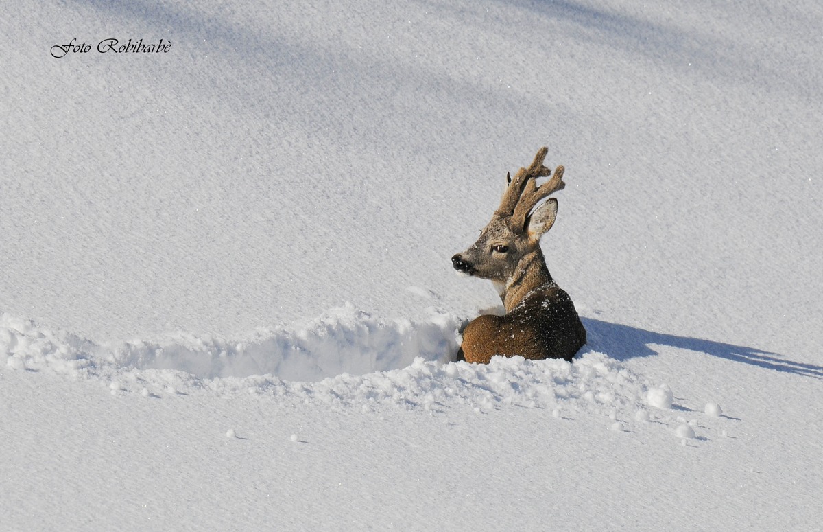 A moment's pause ....