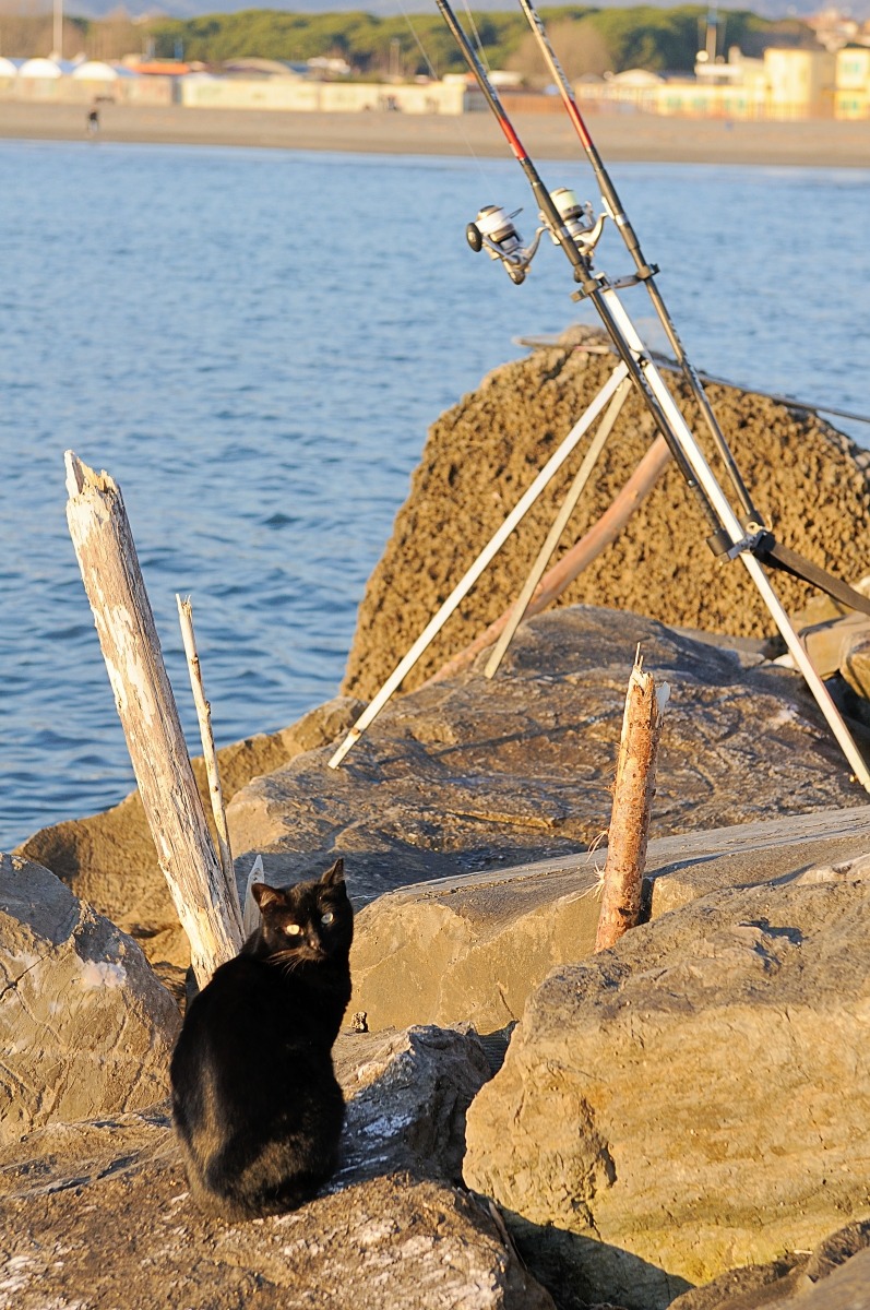 Aspettando cena......