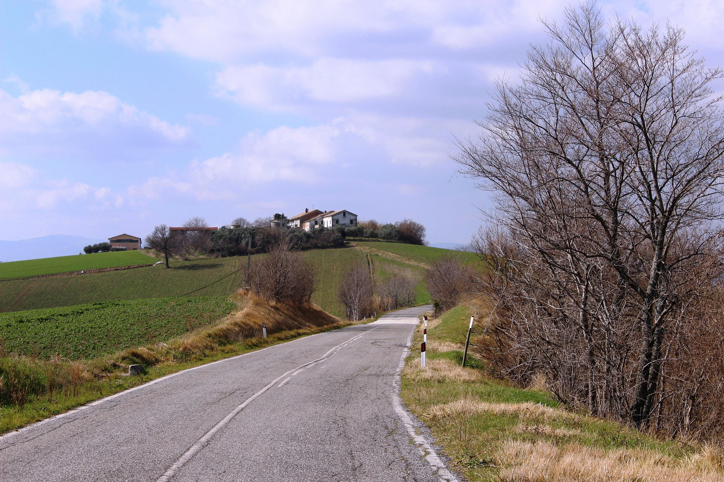 Maceratesi hills - La Divina Pastora
