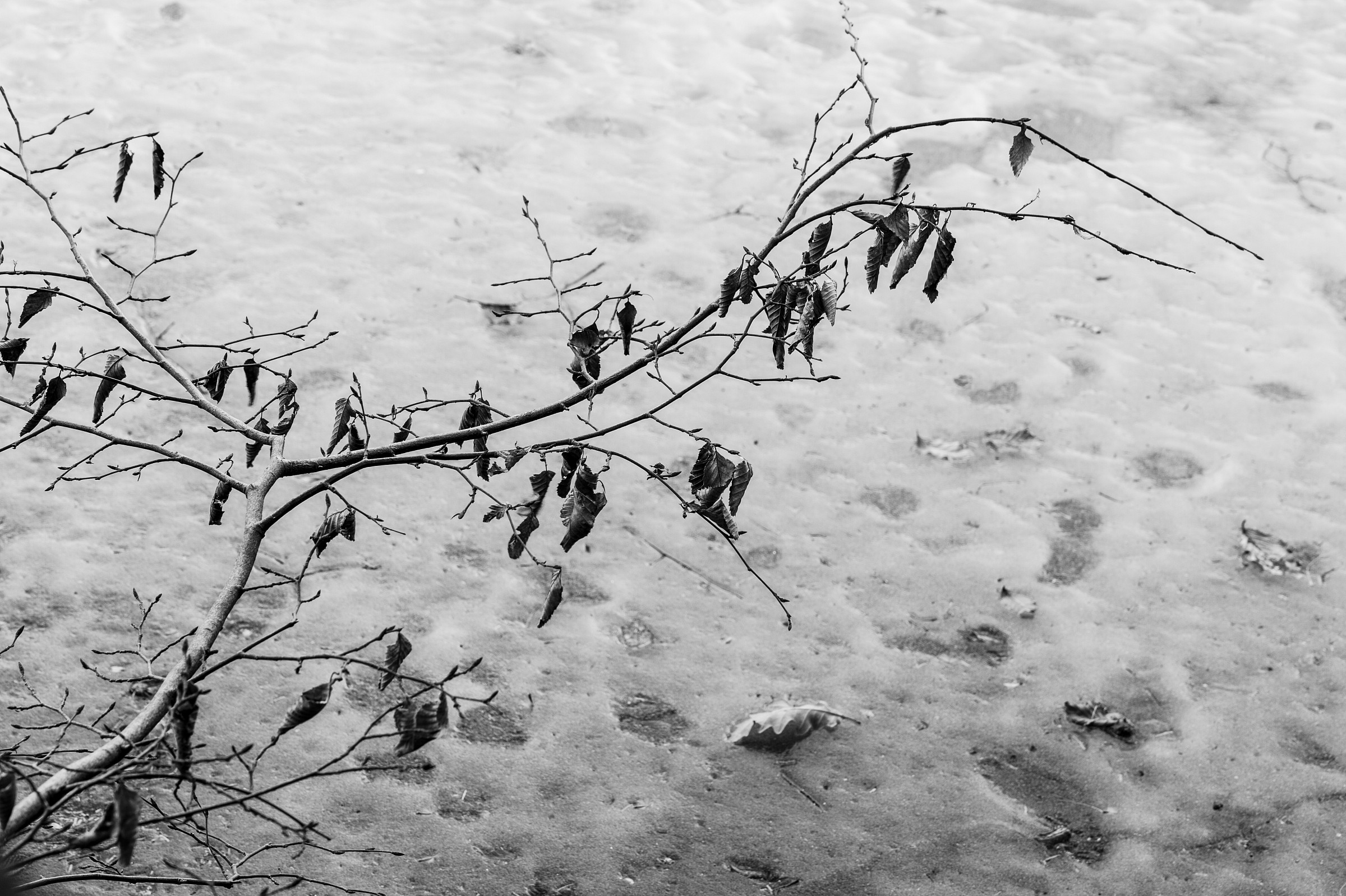 Sospeso sul ghiaccio