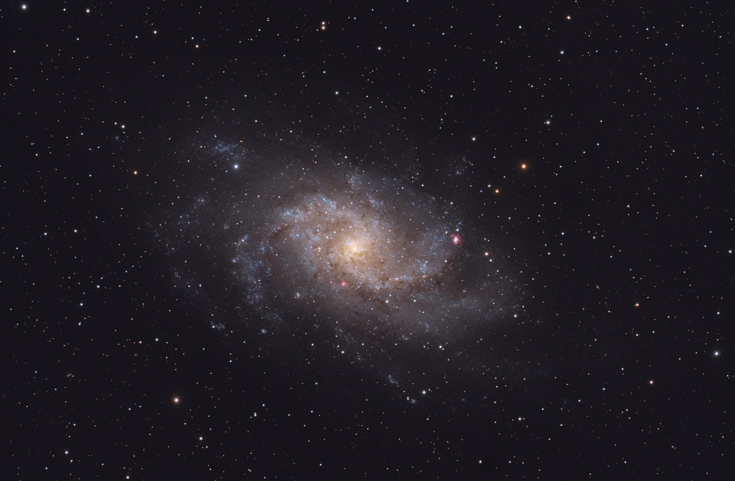 M 33 galassia del triangolo.