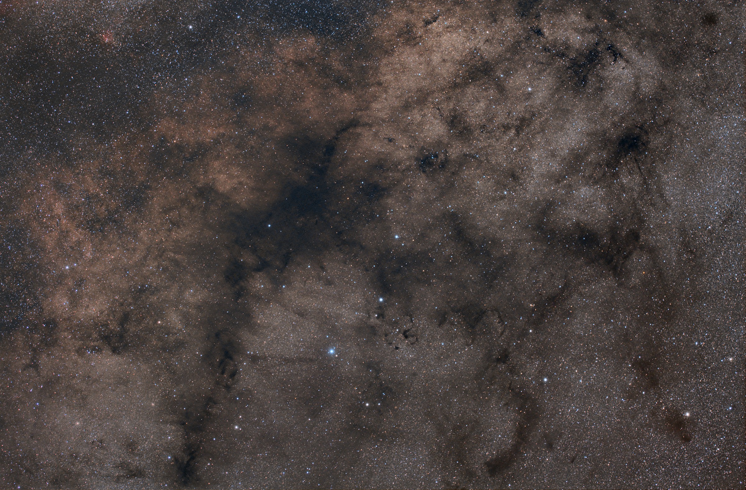 Il cavallino rampante