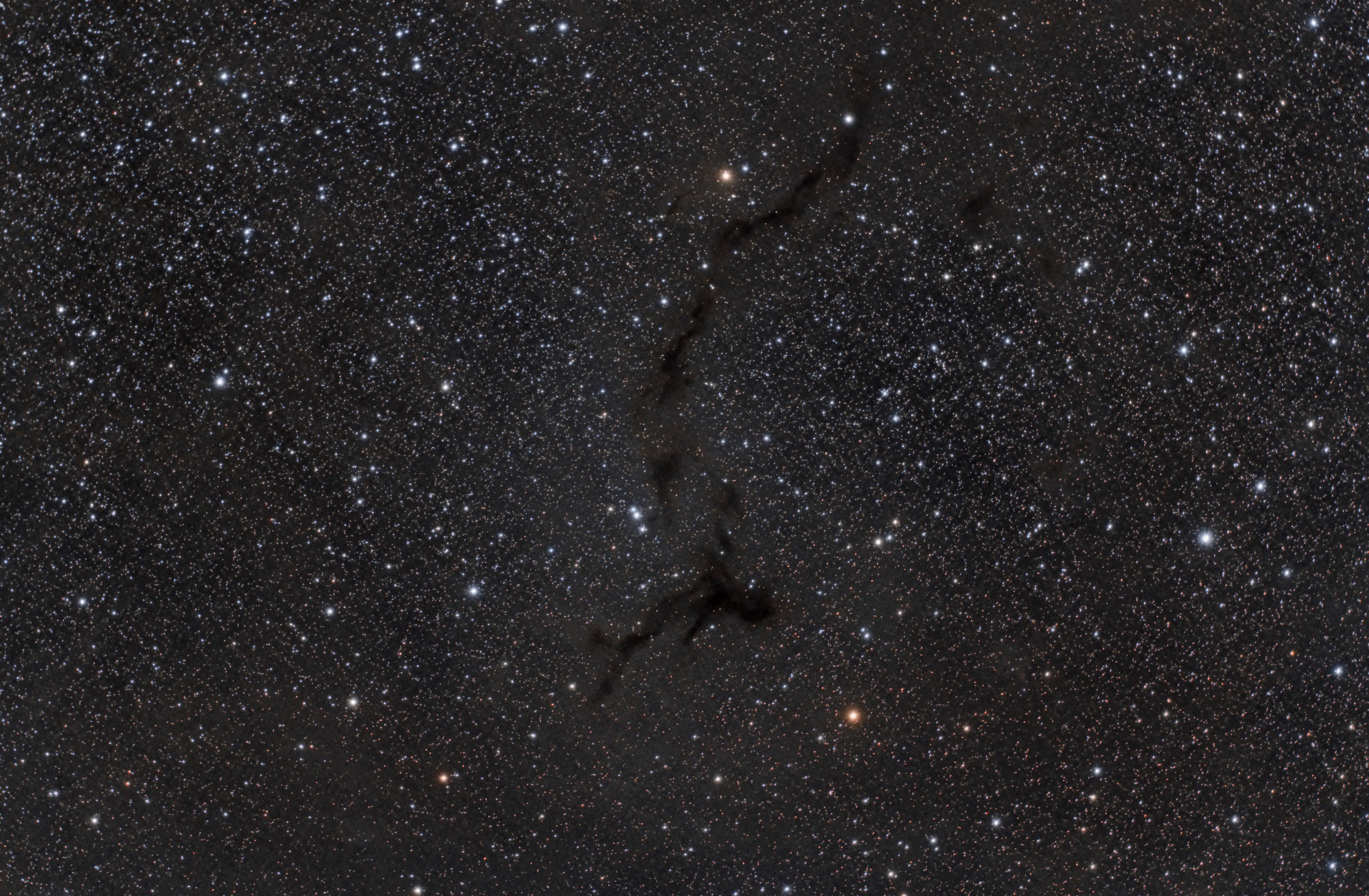 Barnard 150 the "dark running man"
