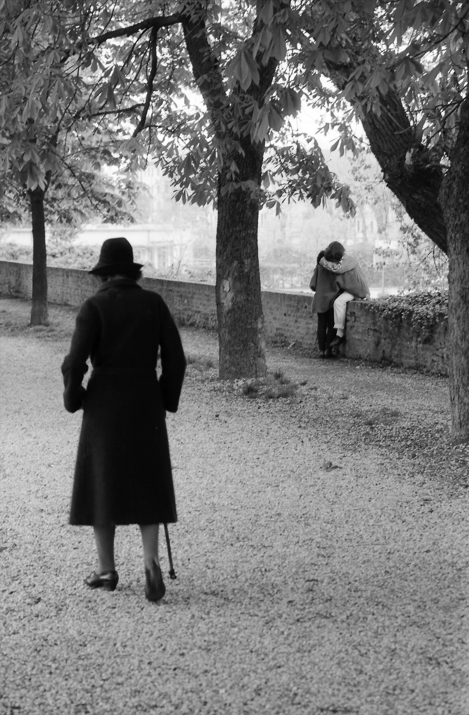 Il percorso della vita