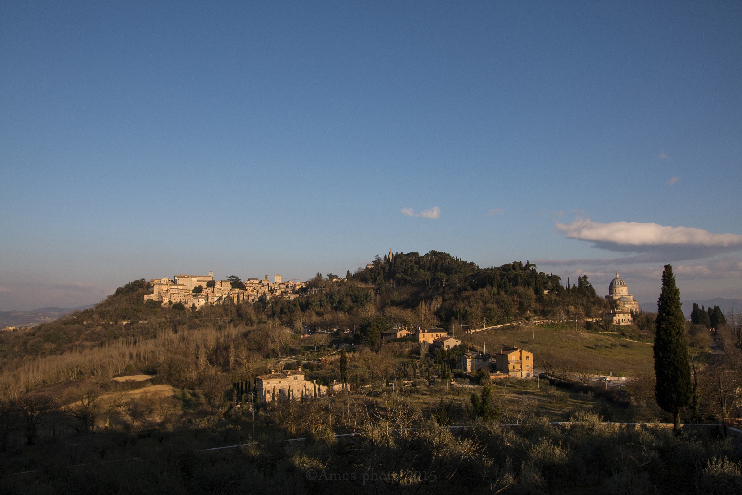 todi overview