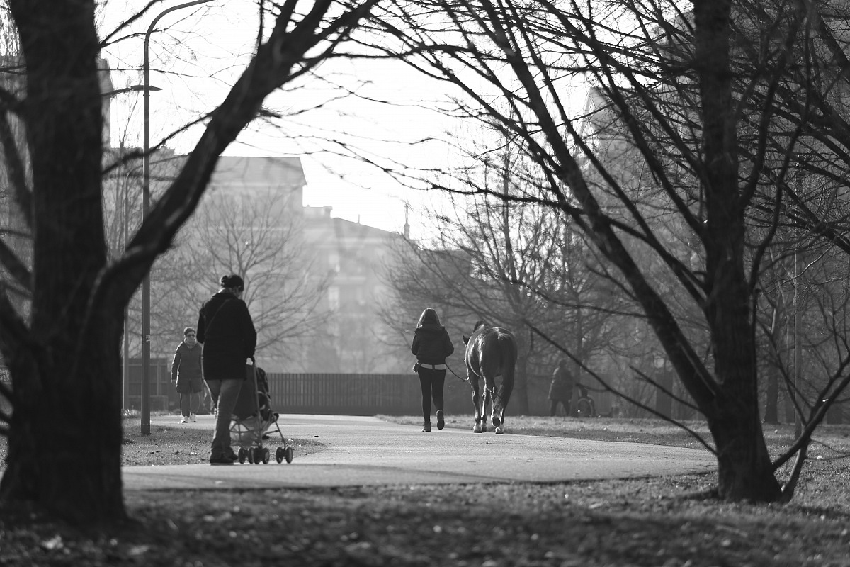 A walk with the horse