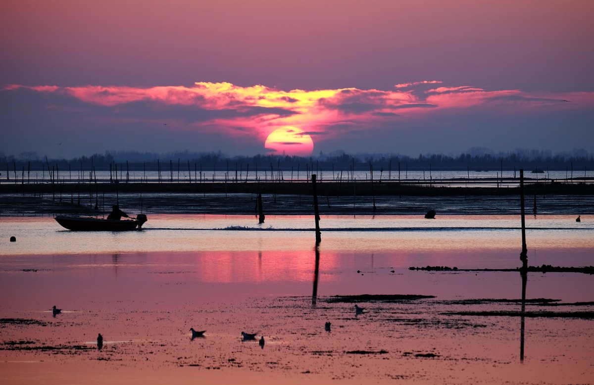 You return from fishing