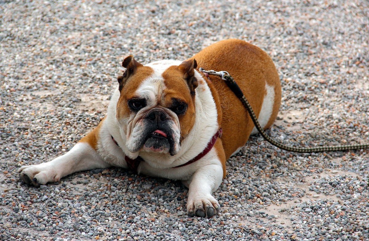 My plans were other ...