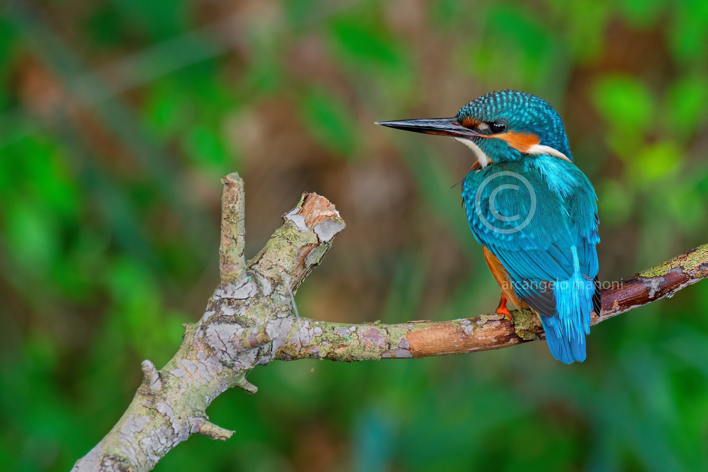 When the martinis are left with the macro approach