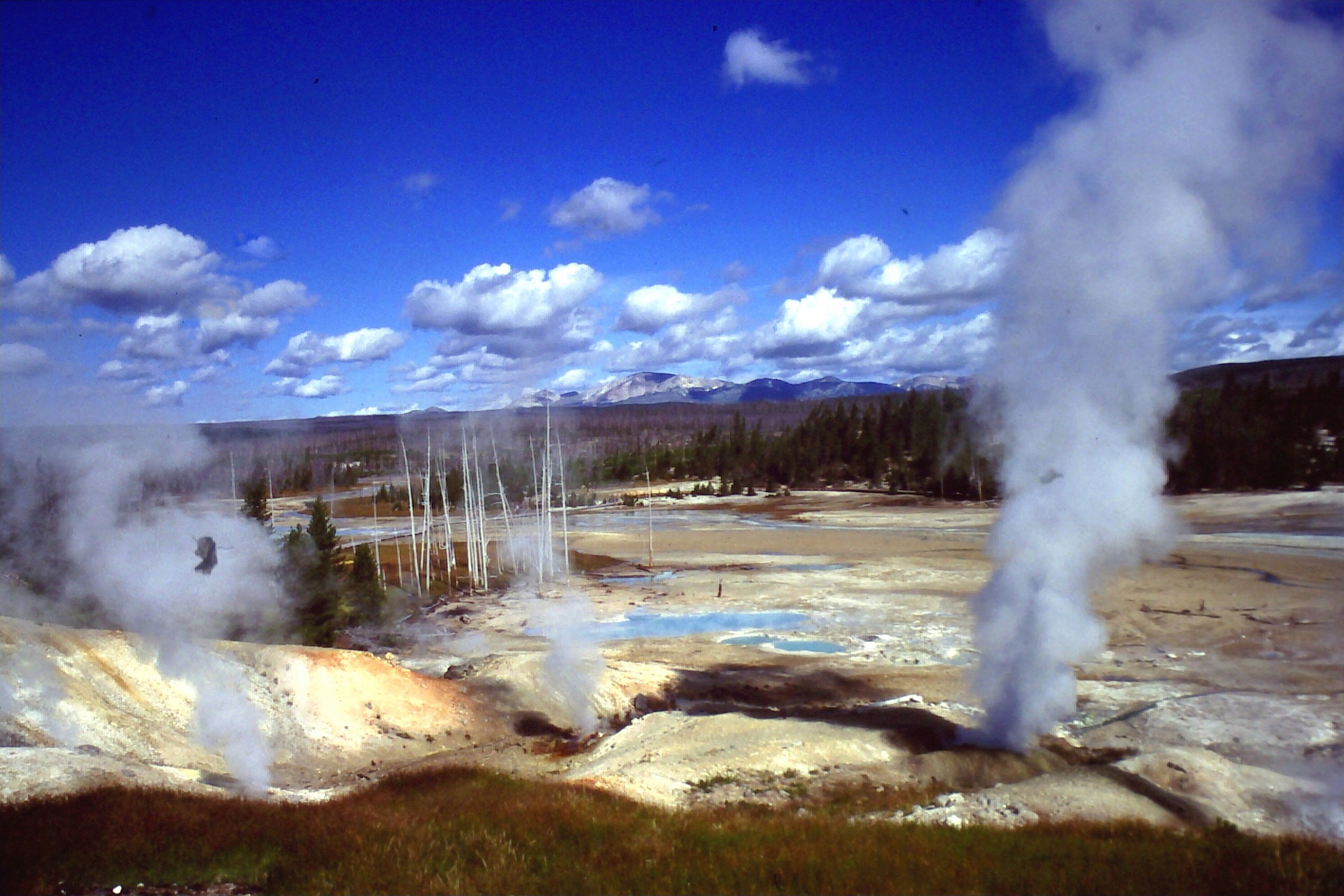 Yellowstone 1997