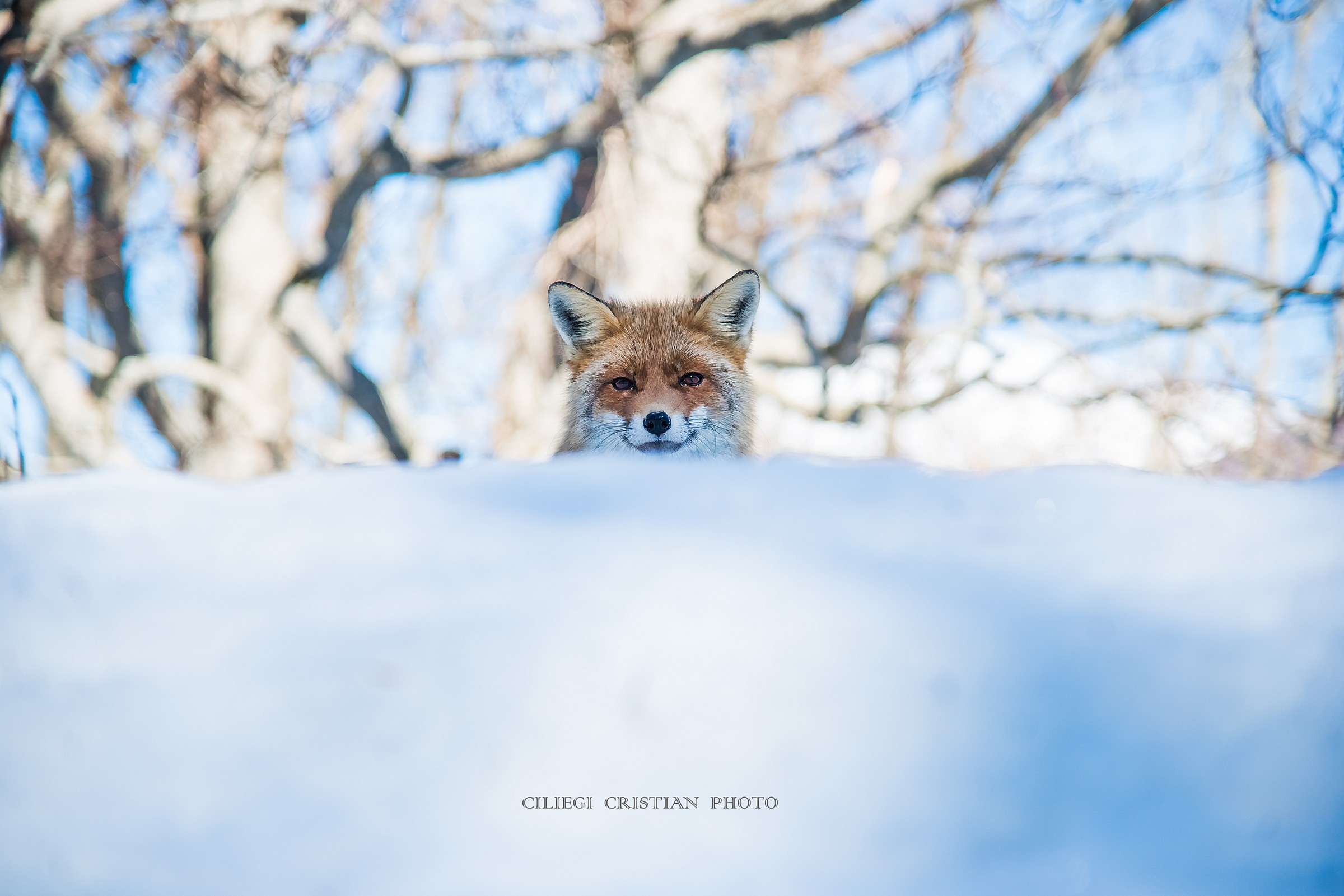 ...mi sentivo osservato