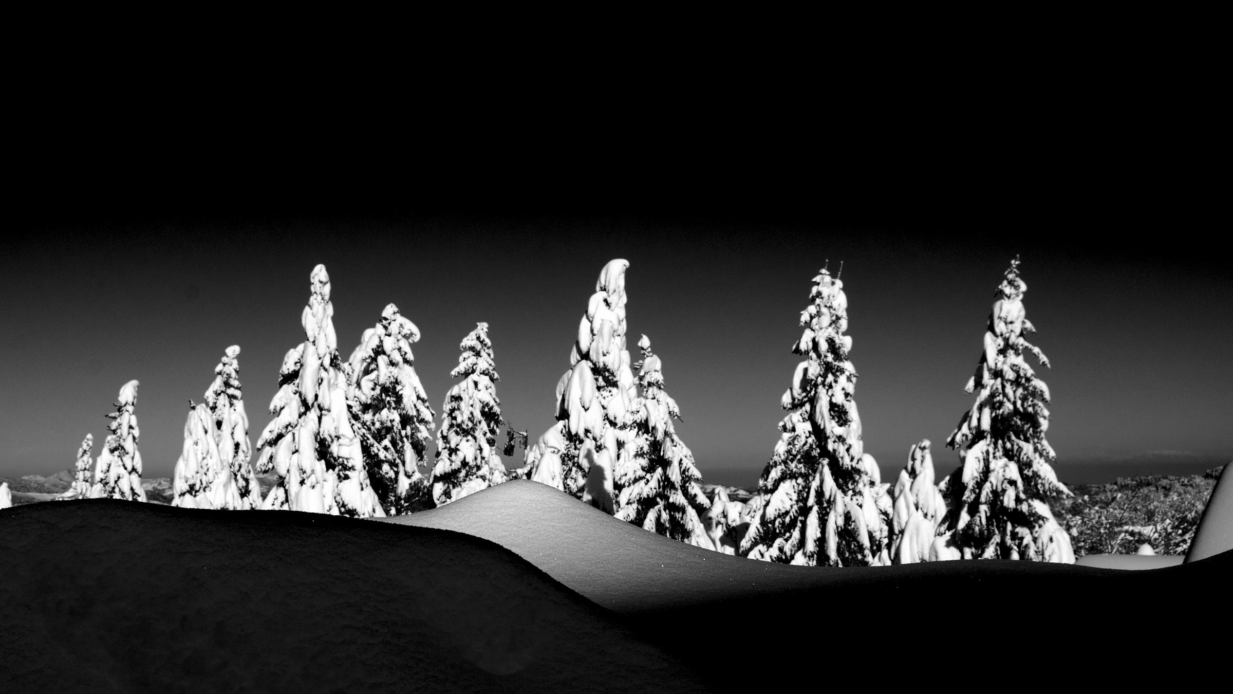 Passata la tempesta #22 bn