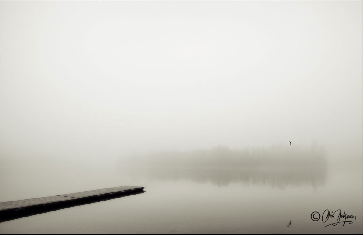 Inverno al fiume Adda