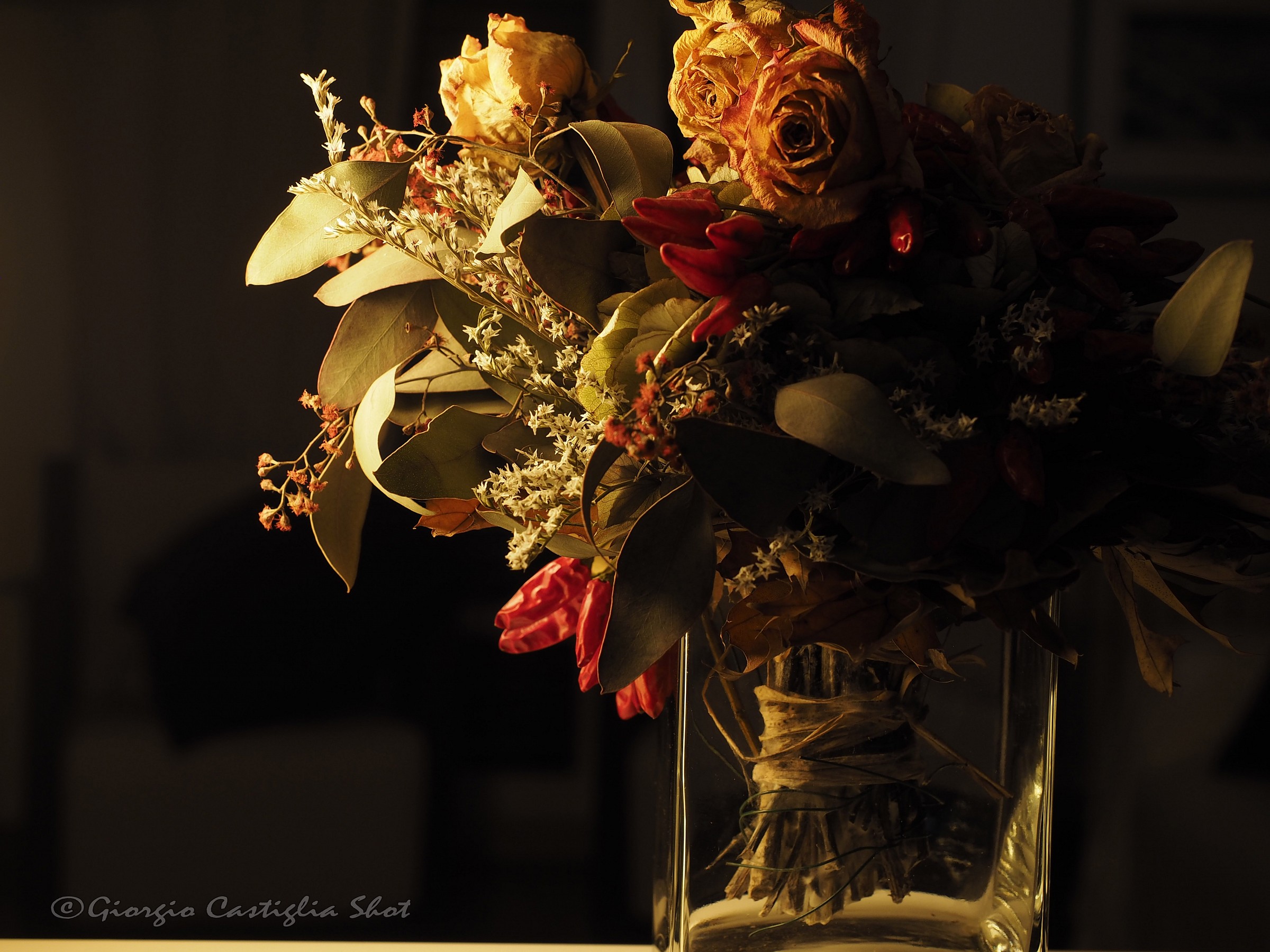 Nature (definitely) Dead 2