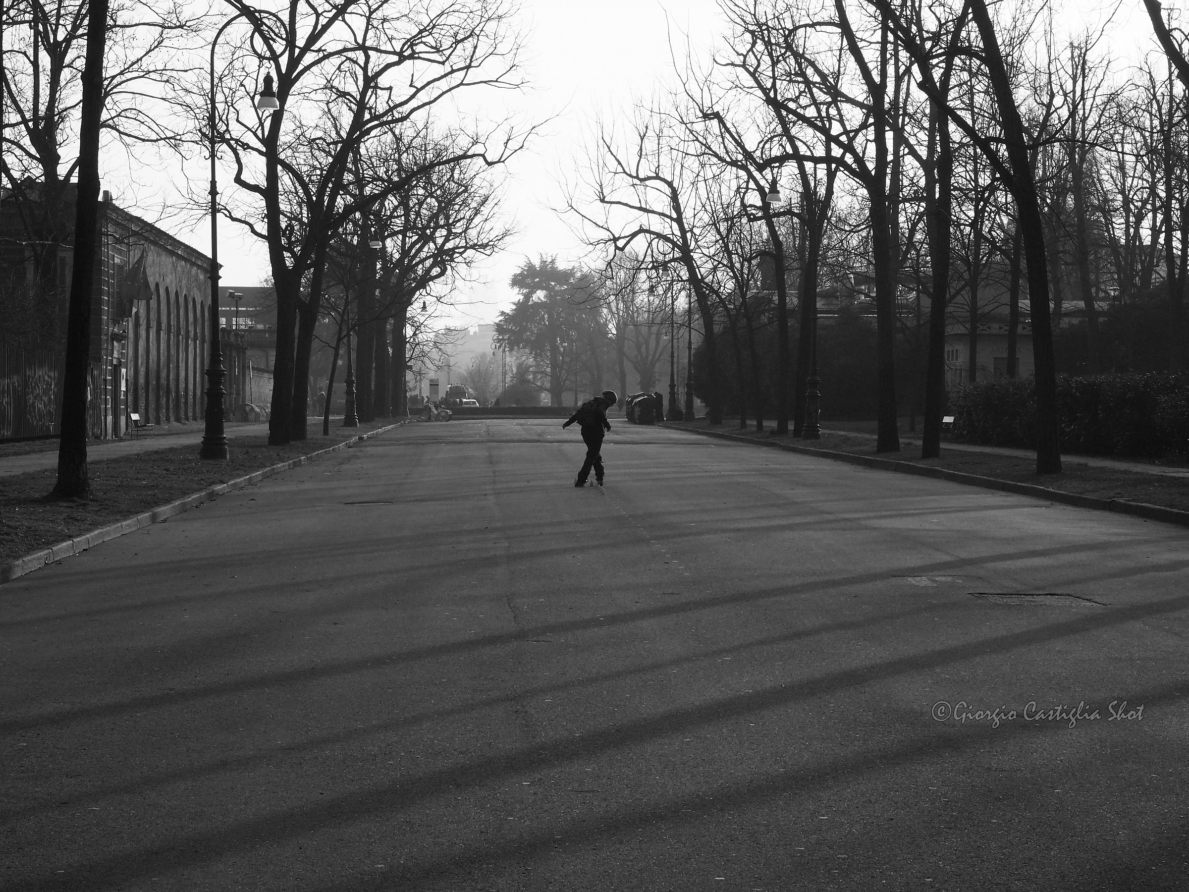 February in the Park