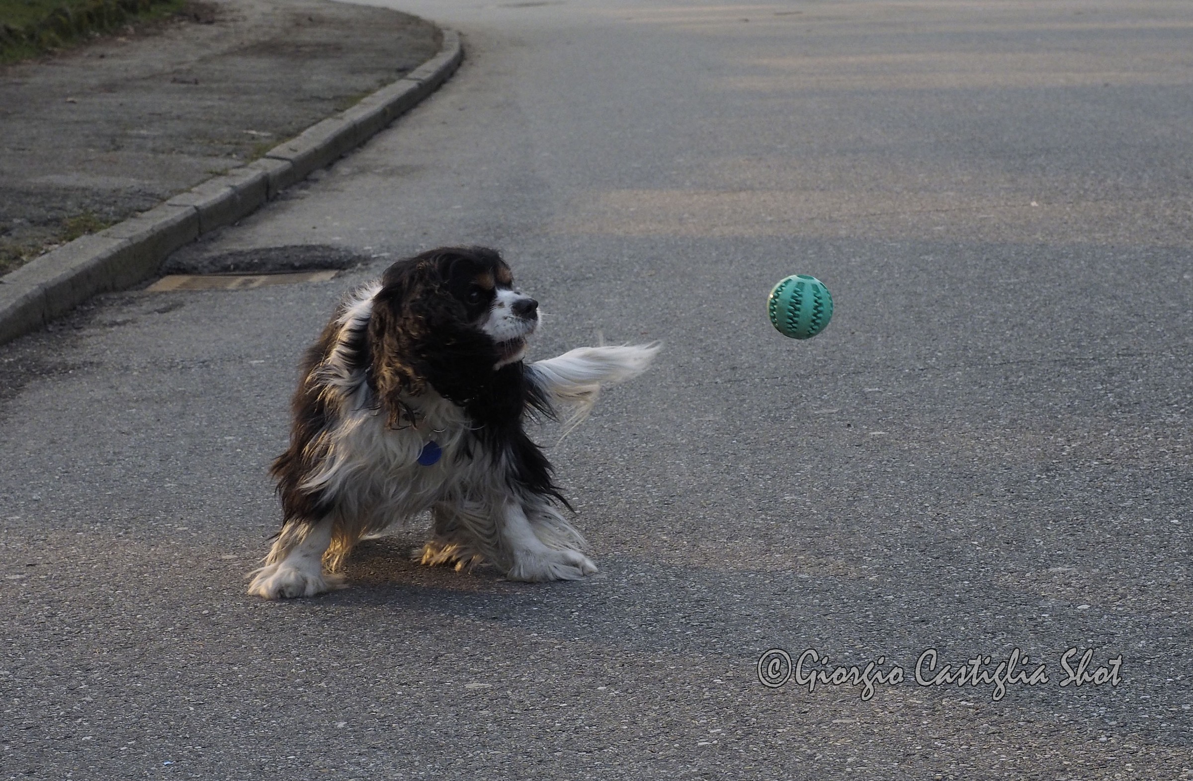 Playing with my little friend 2