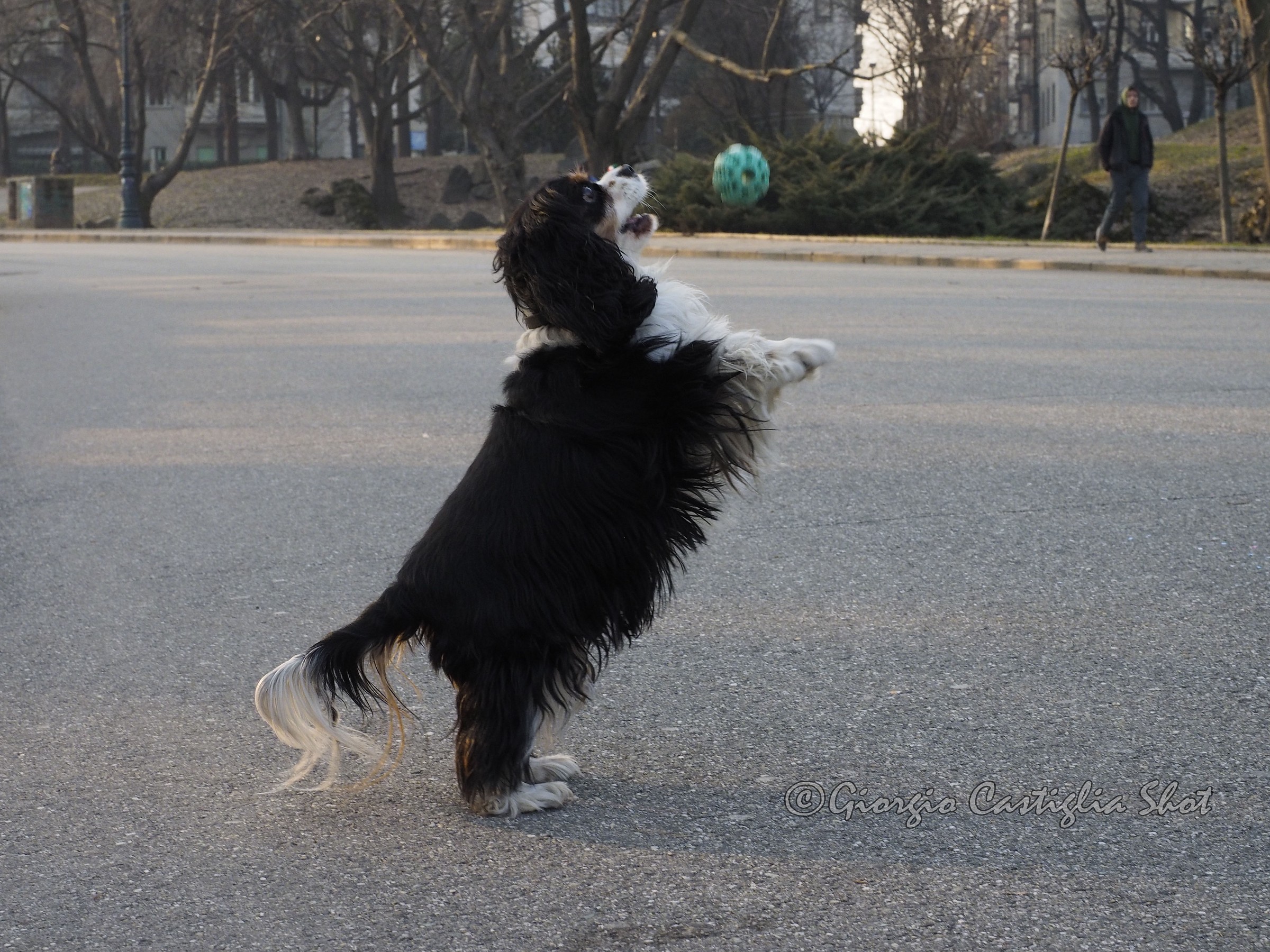 Playing with my little friend 3